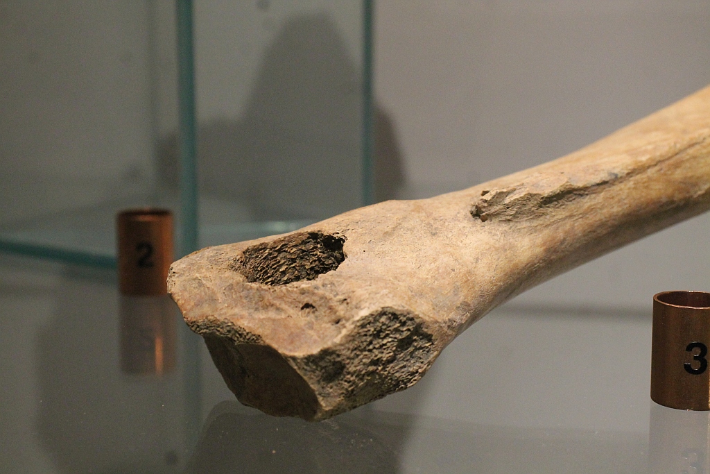 Drogą S3 w przeszłość. Odkrycia archeologiczne z lat 2015-2017