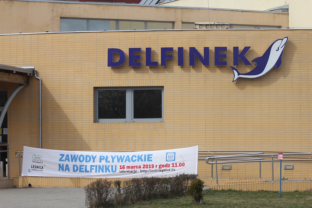 Najmłodsi legniccy pływacy rywalizowali na Delfinku