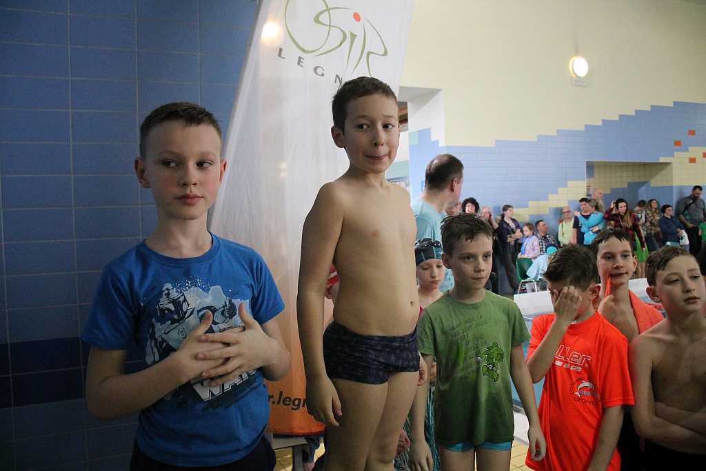 Najmłodsi legniccy pływacy rywalizowali na Delfinku