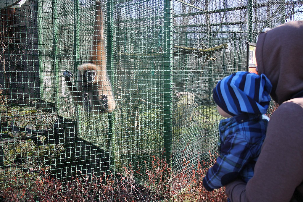 Pierwszy ciepły weekned przyciagnął tłumy do ZOO