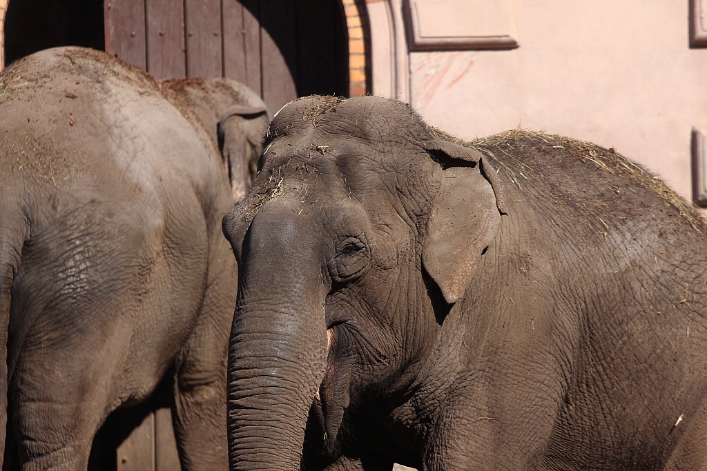 Pierwszy ciepły weekned przyciagnął tłumy do ZOO