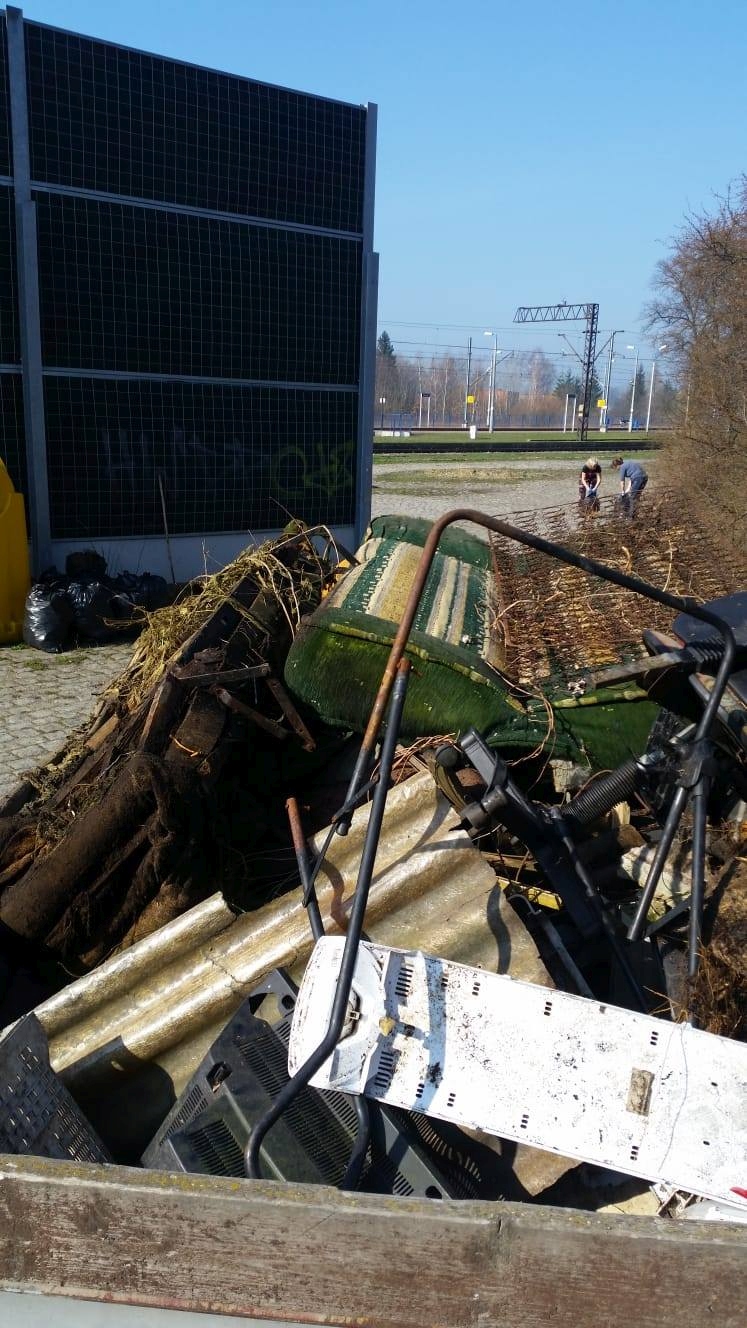 Mieszkańcy gminy Miłkowice porządkowali swoje otoczenie