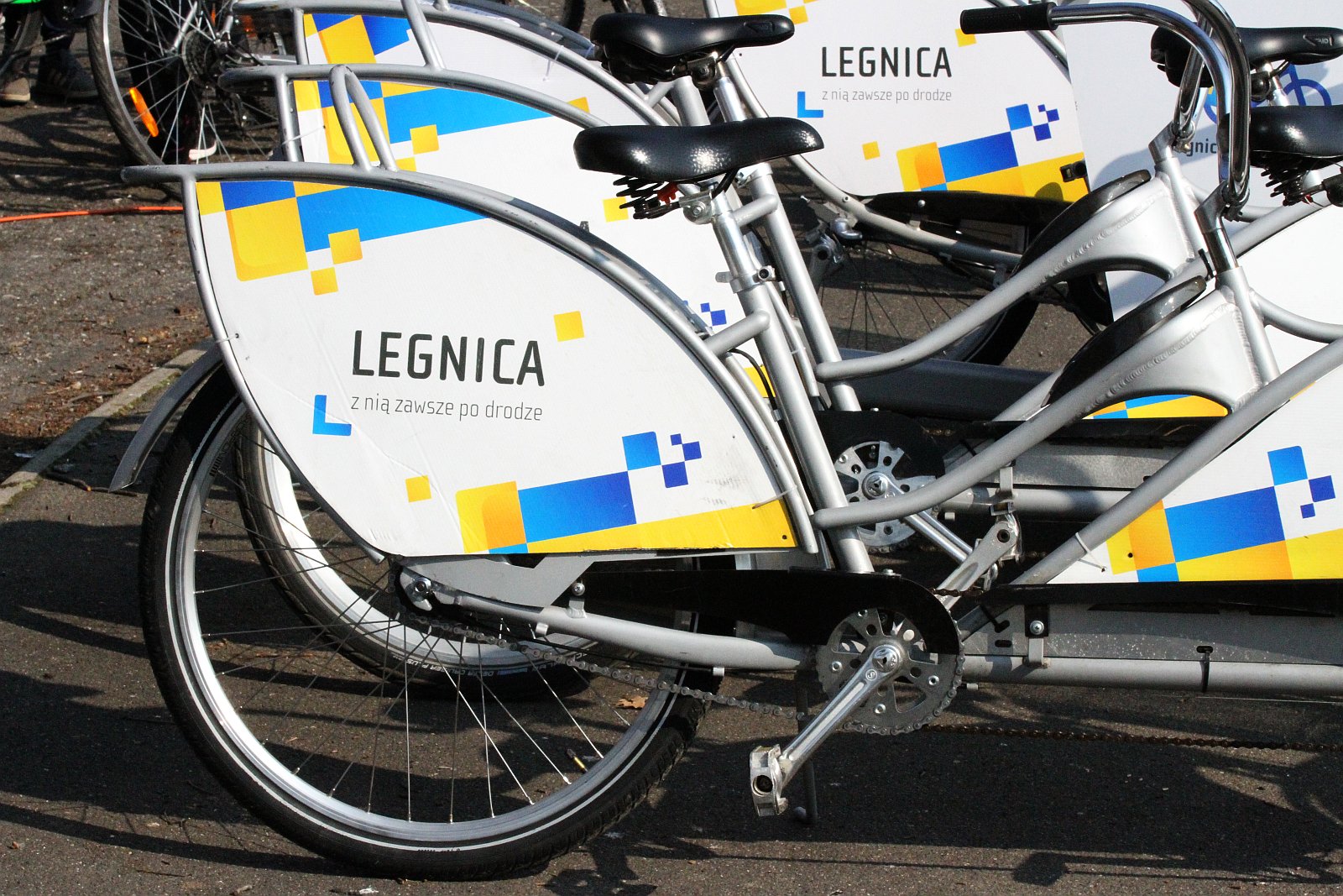 Ponad stu rowerzystów stanęło na starcie Rowerowej Legnicy