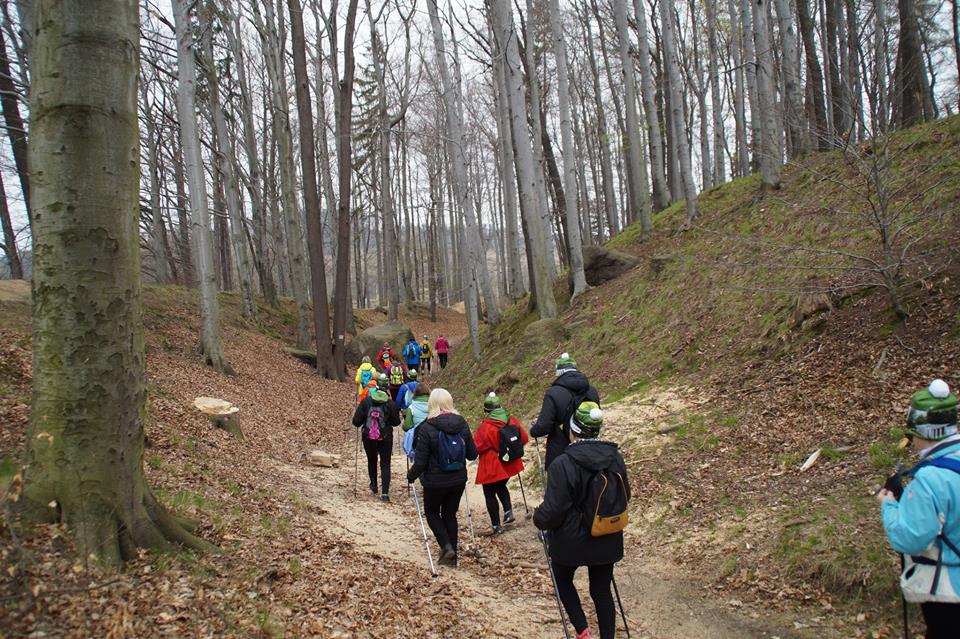 Nordic Walking z Jajem. Drapiki dotarli do Perły Zachodu