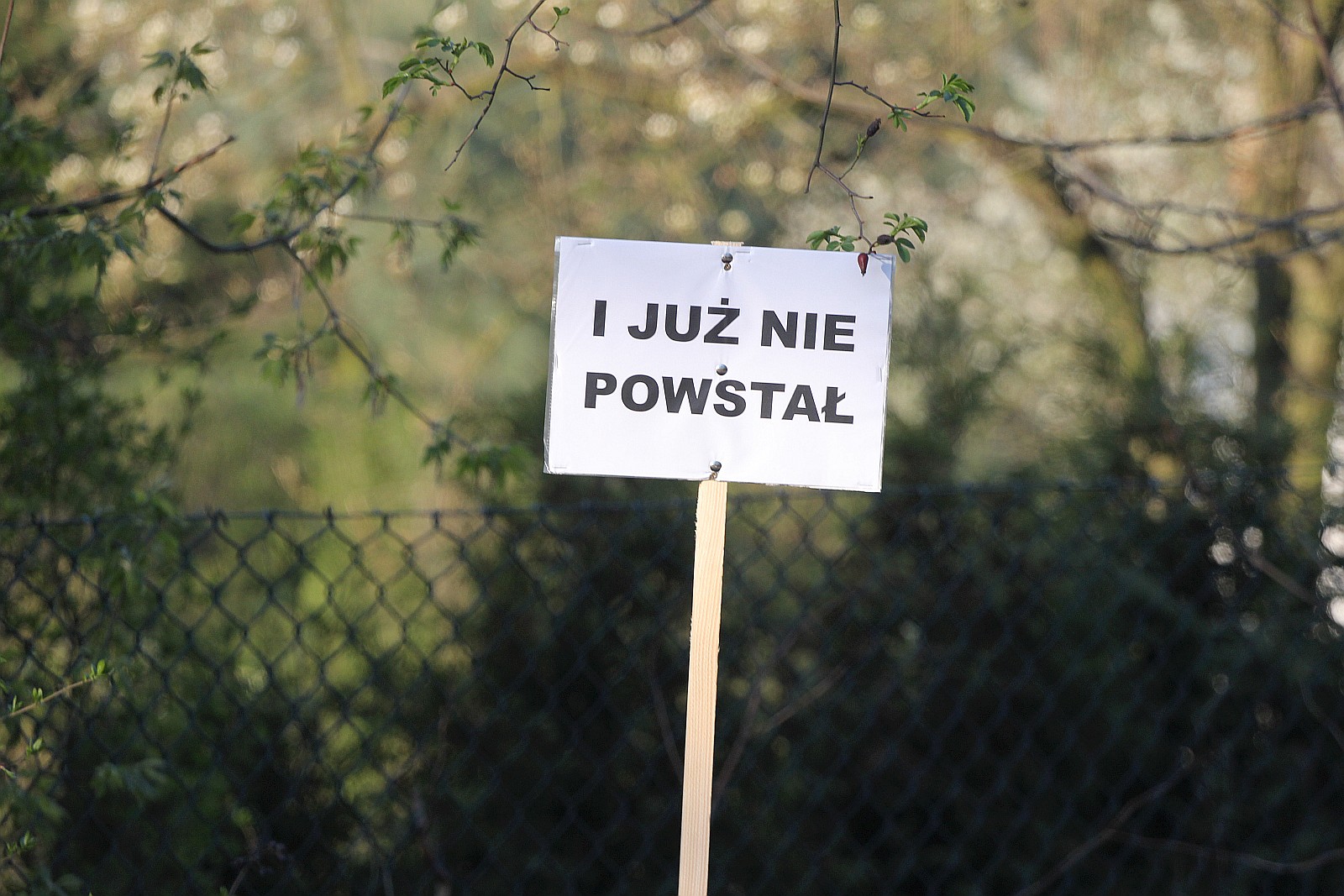 Droga do MPK z przystankami, a na końcu beczka śmiechu
