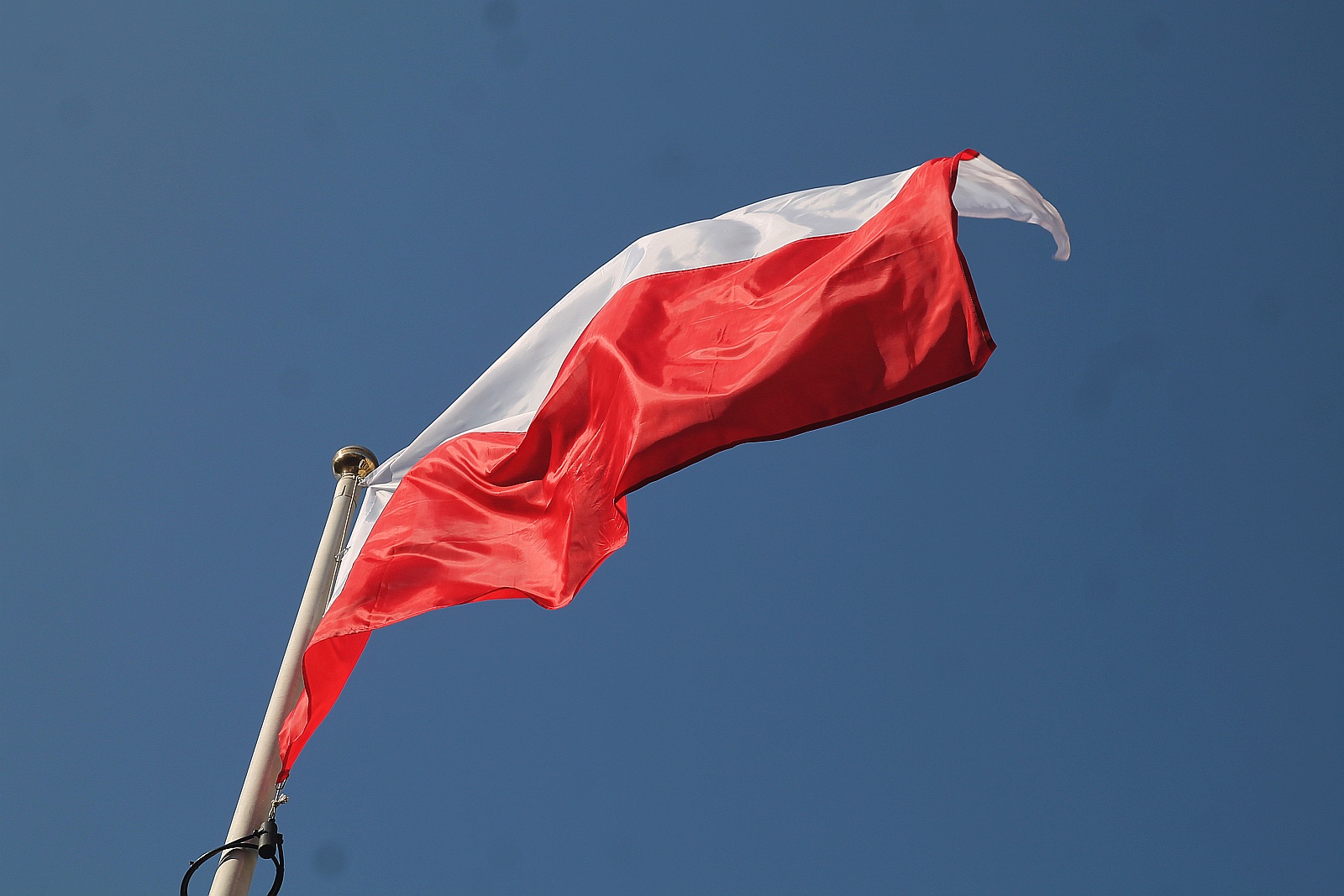 2 maja. Świętujemy dzień flagi narodowej            
