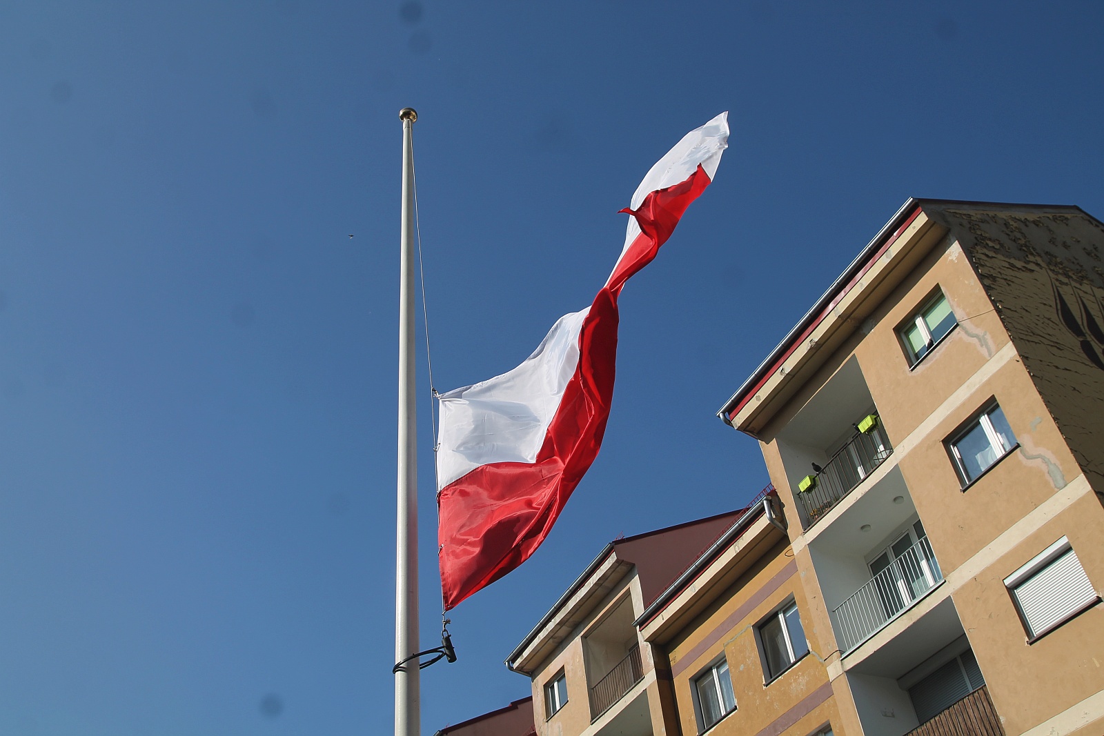 2 maja. Świętujemy dzień flagi narodowej            

