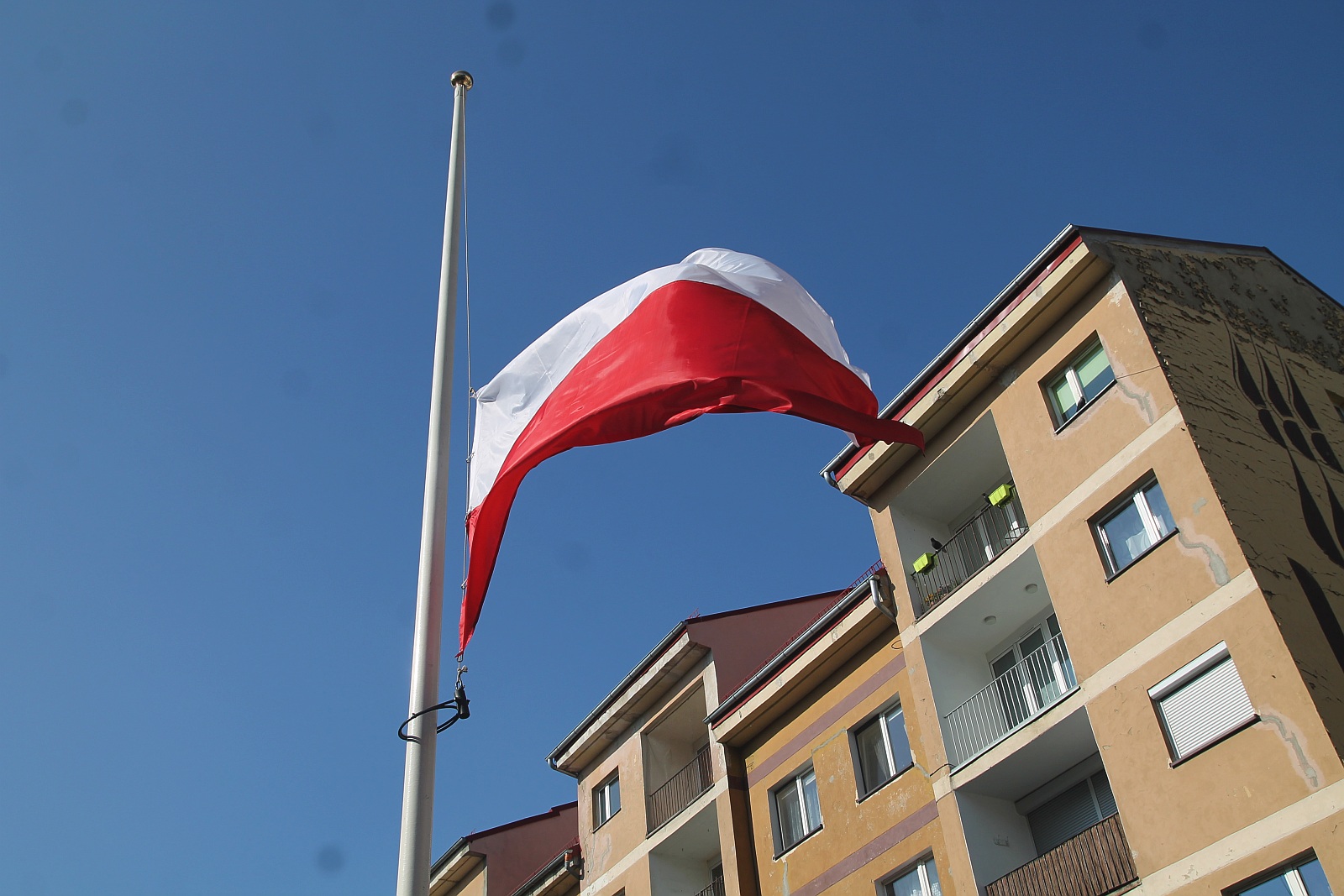 2 maja. Świętujemy dzień flagi narodowej            
