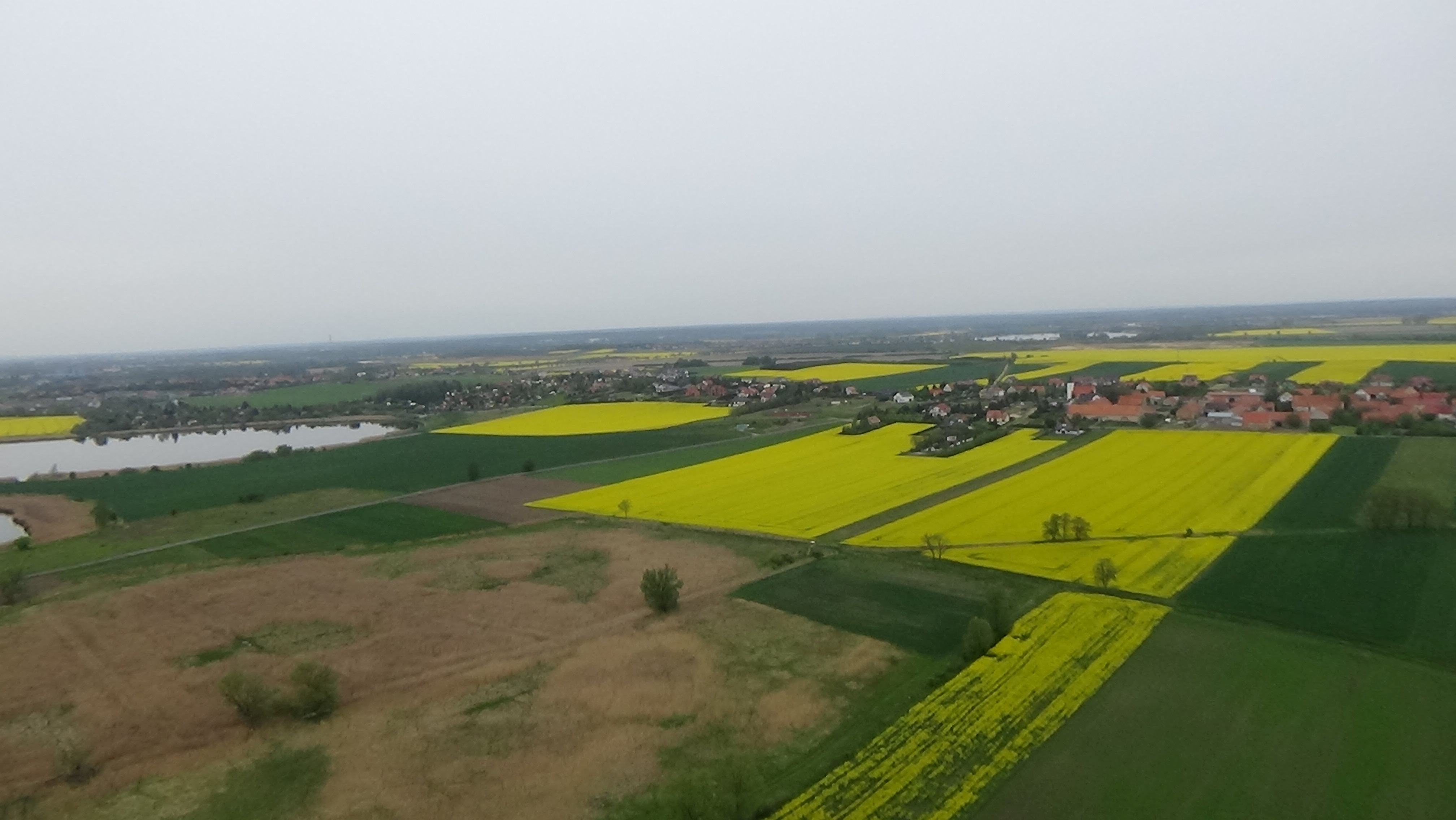 Grzybiany z lotu ptaka. Zobacz jak wyglądają na wiosnę
