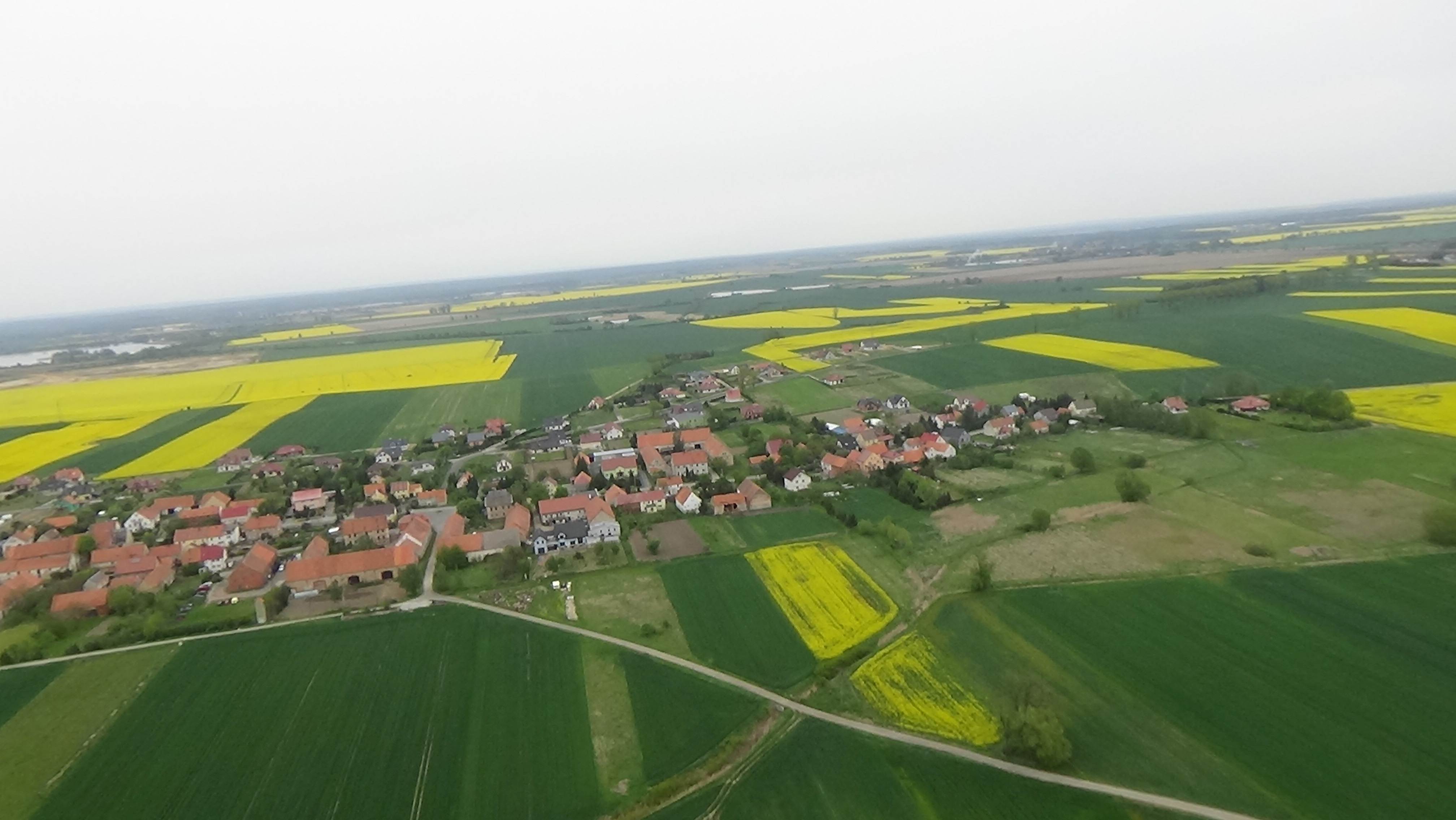 Grzybiany z lotu ptaka. Zobacz jak wyglądają na wiosnę