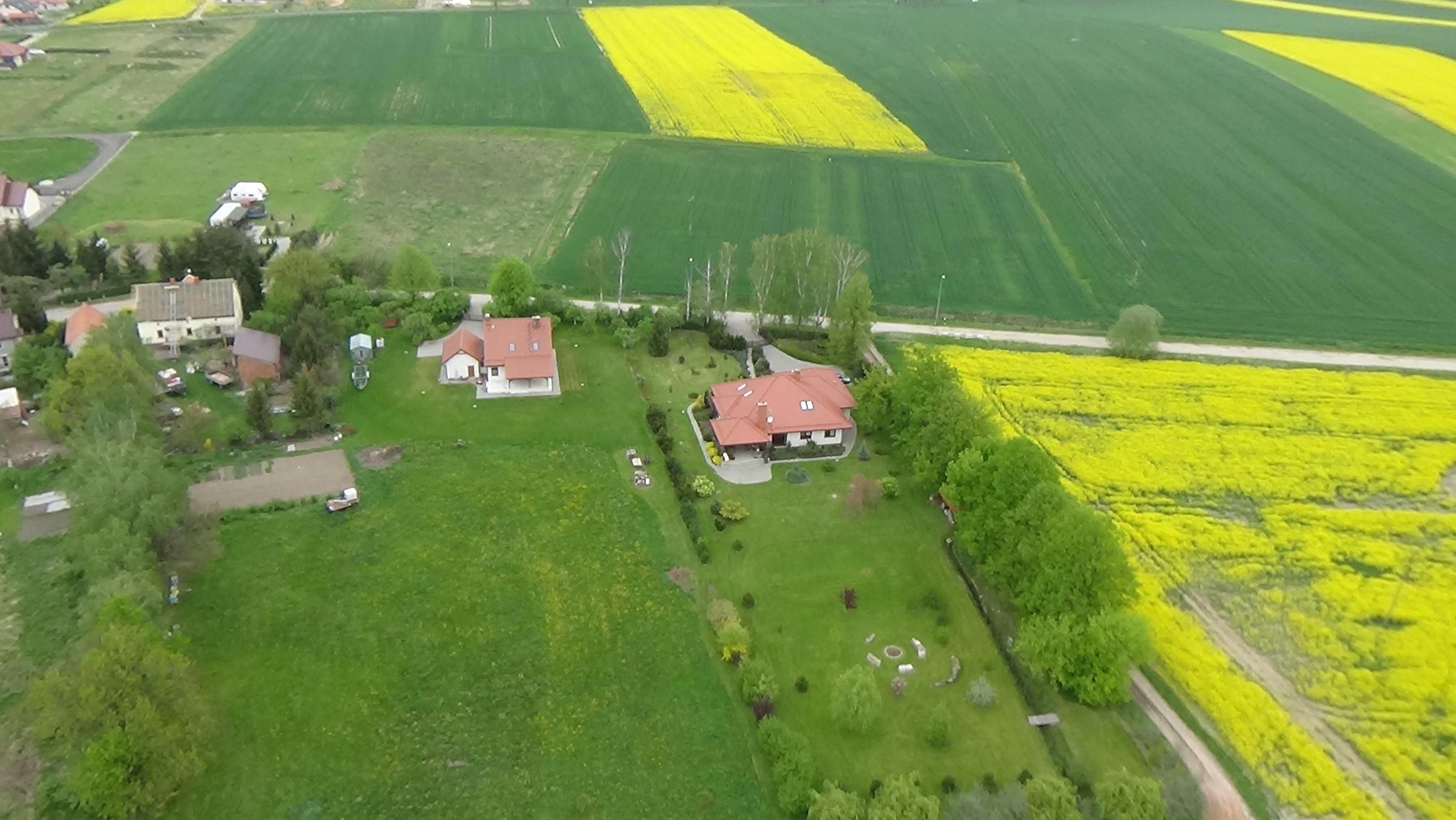 Grzybiany z lotu ptaka. Zobacz jak wyglądają na wiosnę