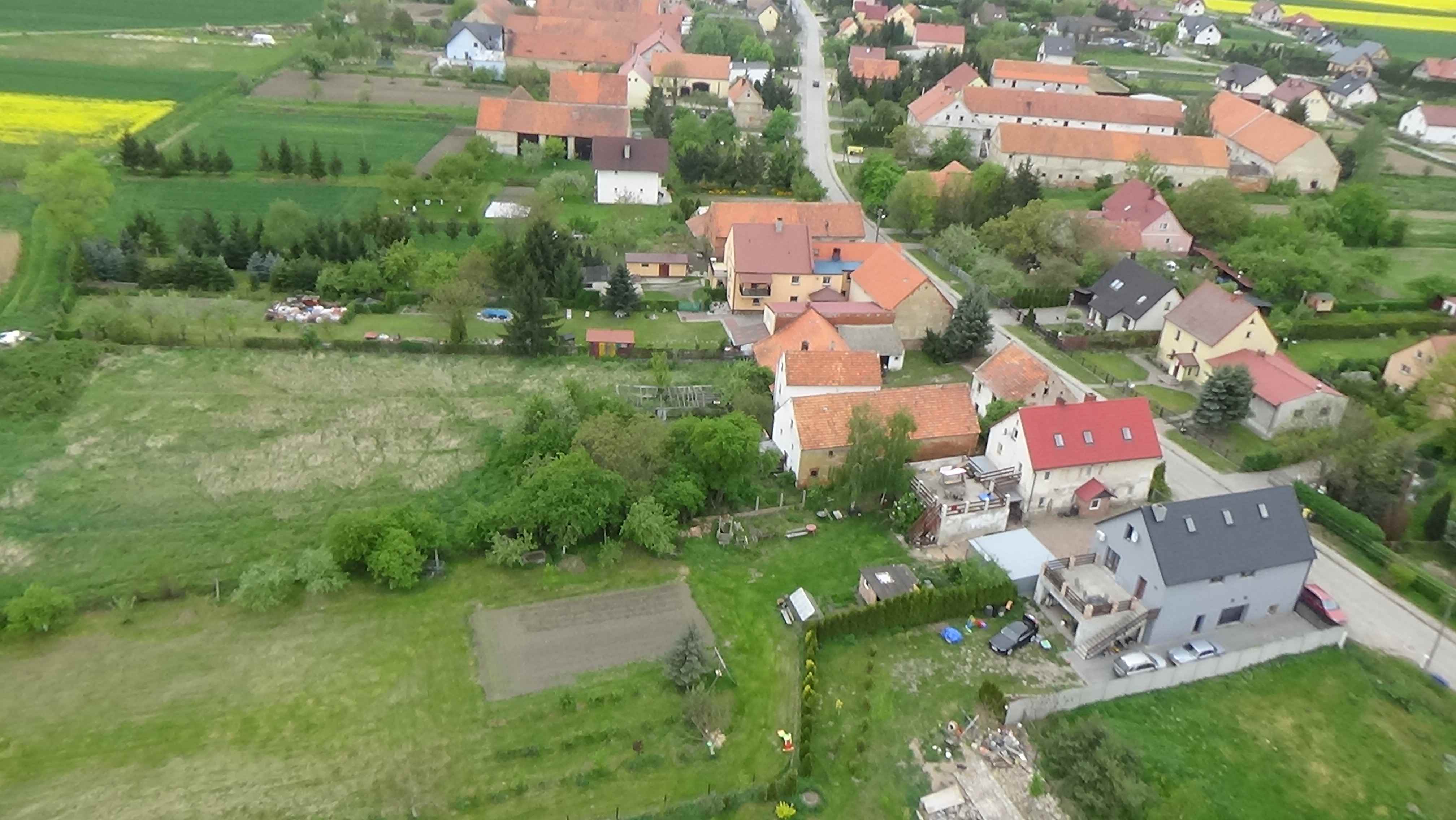 Grzybiany z lotu ptaka. Zobacz jak wyglądają na wiosnę