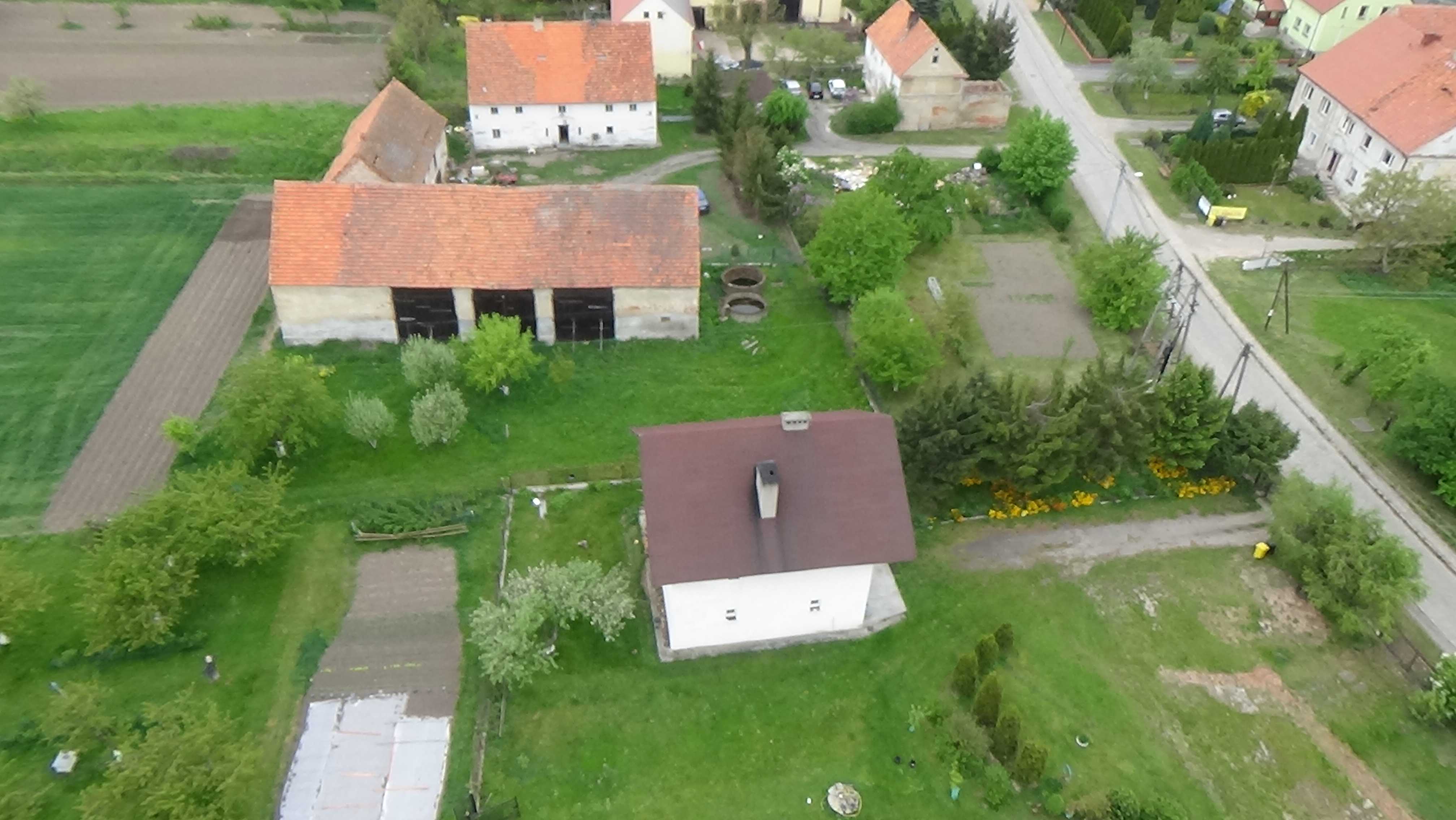 Grzybiany z lotu ptaka. Zobacz jak wyglądają na wiosnę