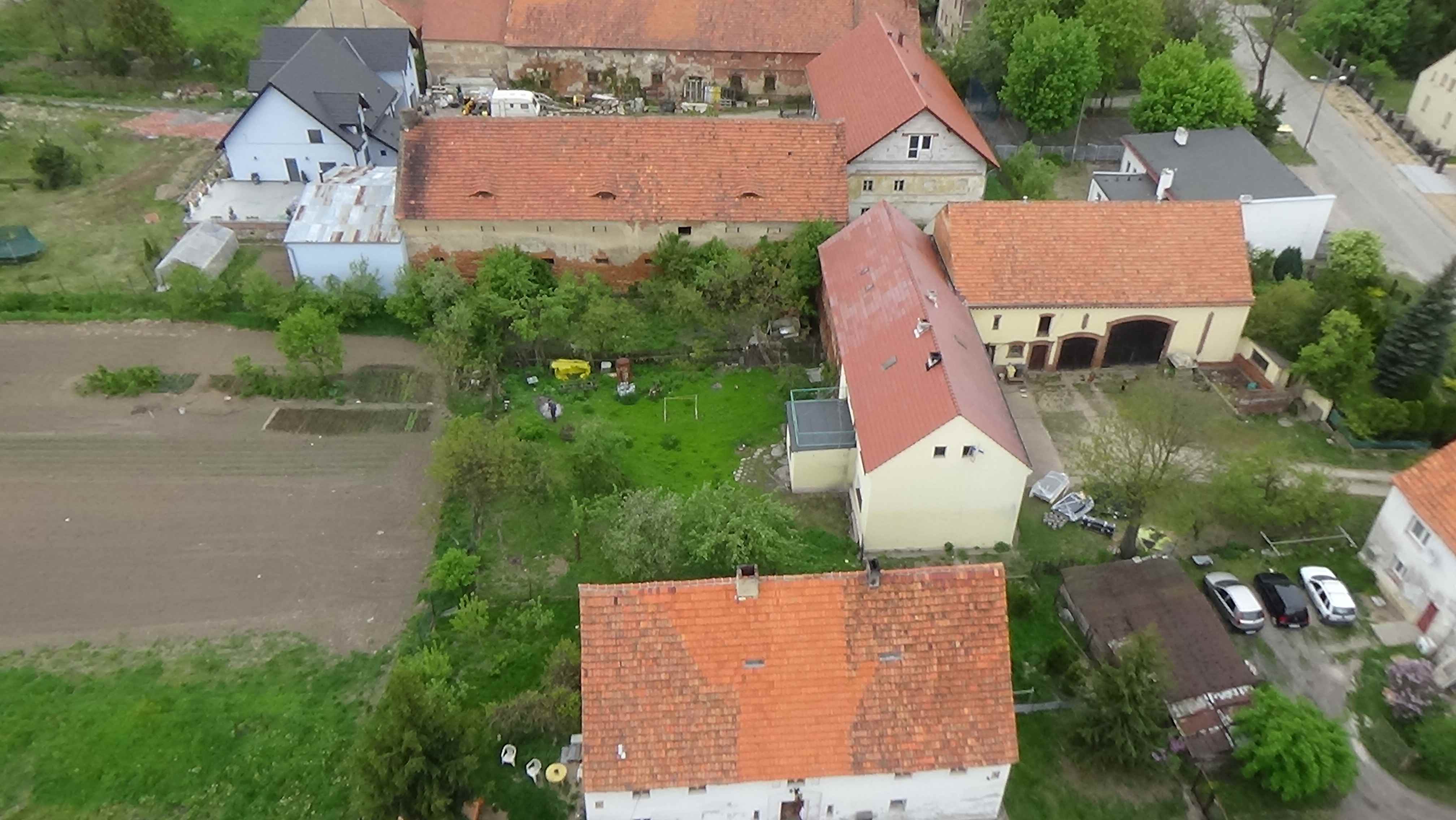 Grzybiany z lotu ptaka. Zobacz jak wyglądają na wiosnę