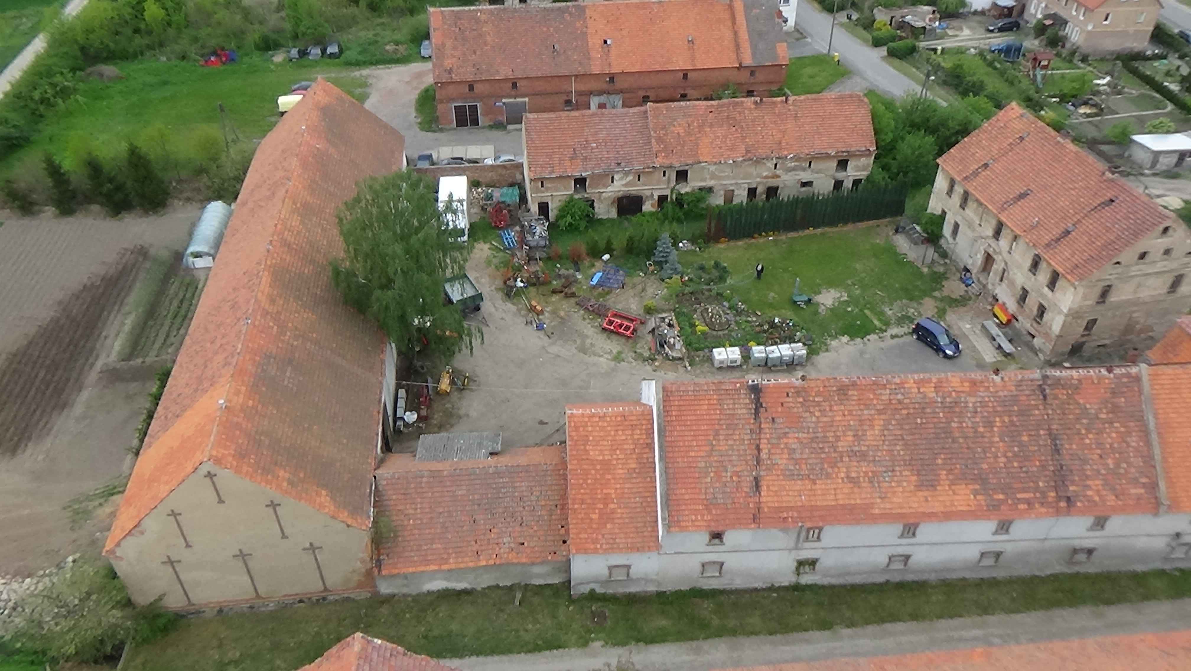Grzybiany z lotu ptaka. Zobacz jak wyglądają na wiosnę