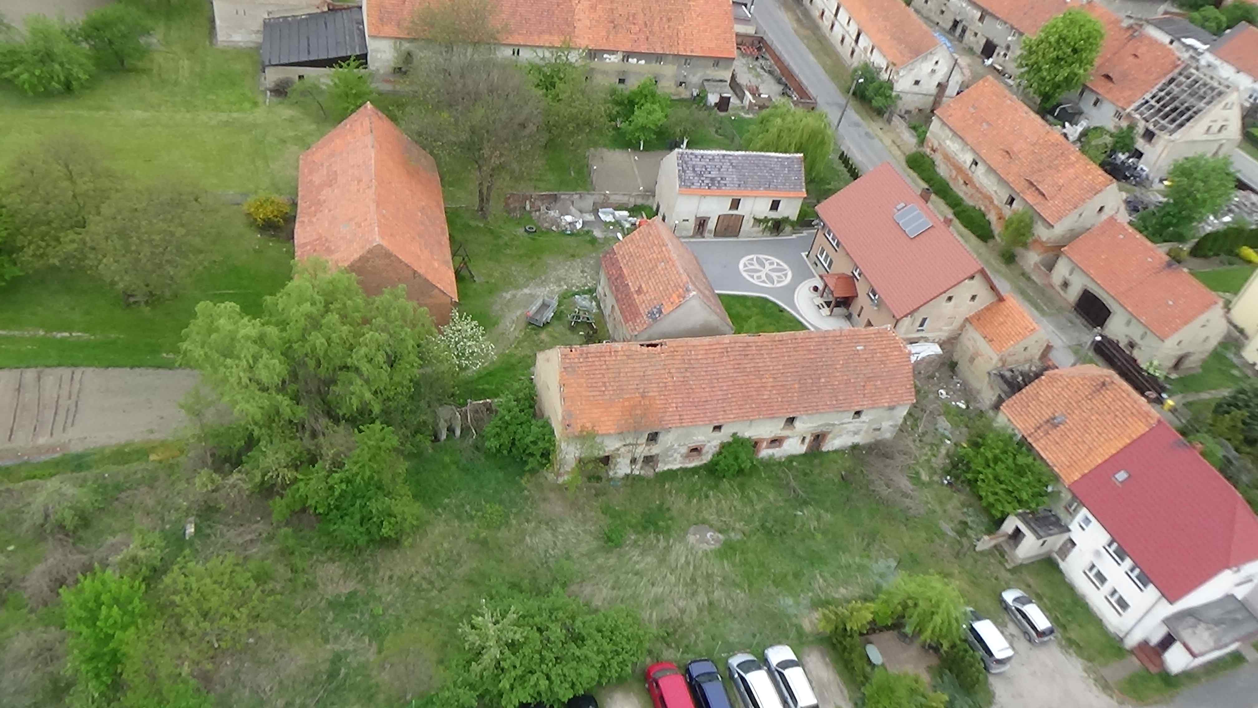 Grzybiany z lotu ptaka. Zobacz jak wyglądają na wiosnę