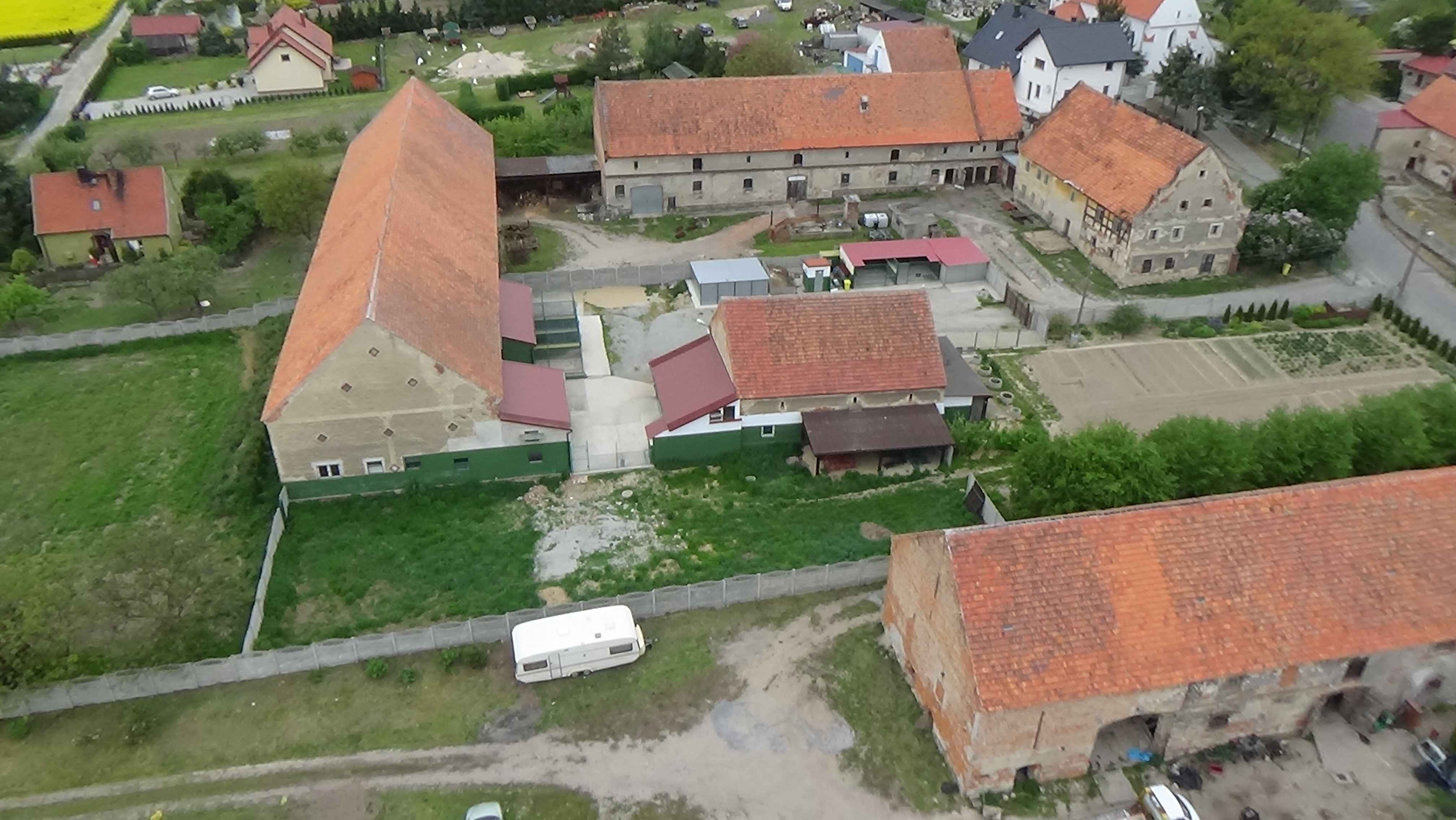 Grzybiany z lotu ptaka. Zobacz jak wyglądają na wiosnę