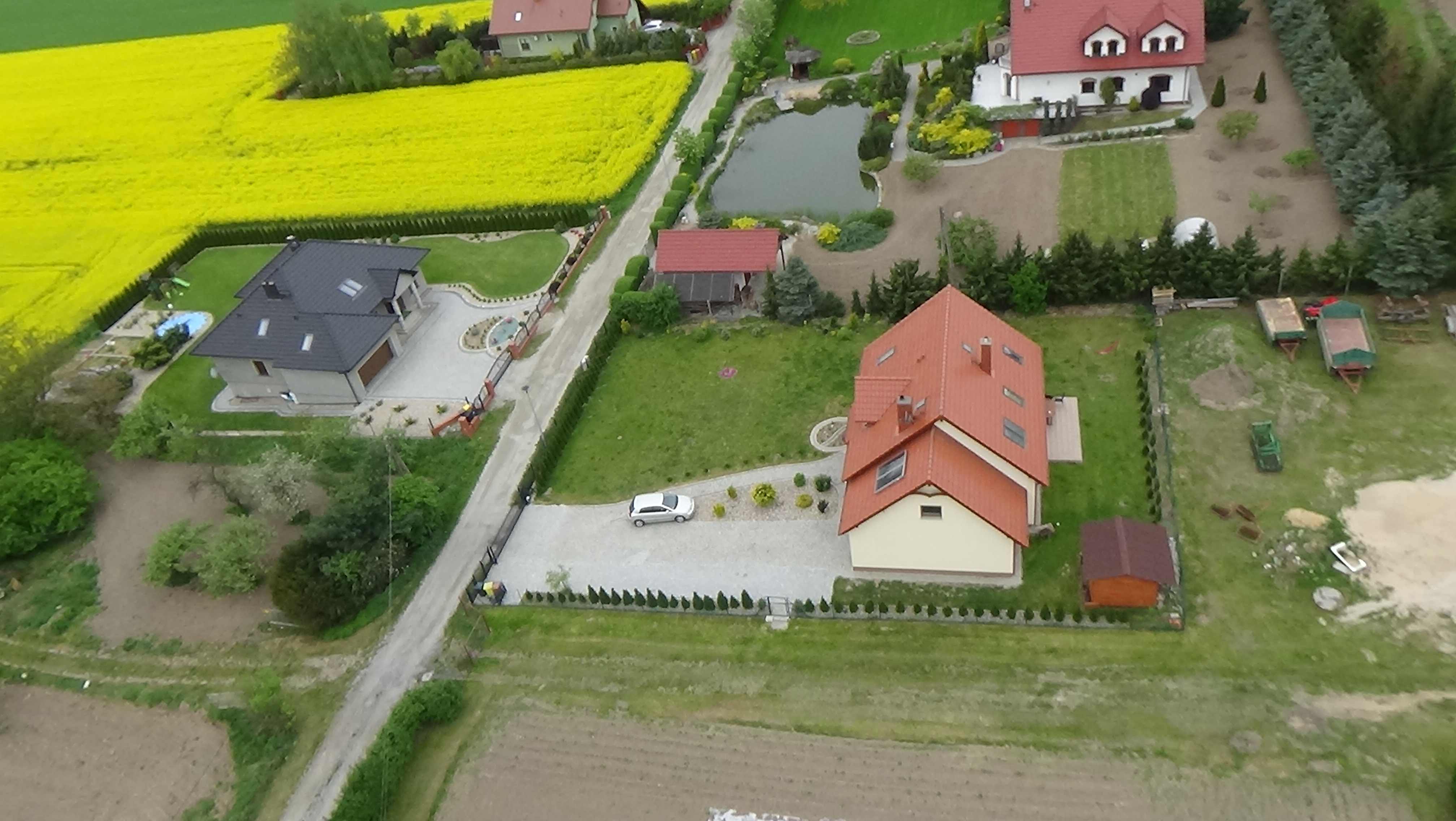Grzybiany z lotu ptaka. Zobacz jak wyglądają na wiosnę
