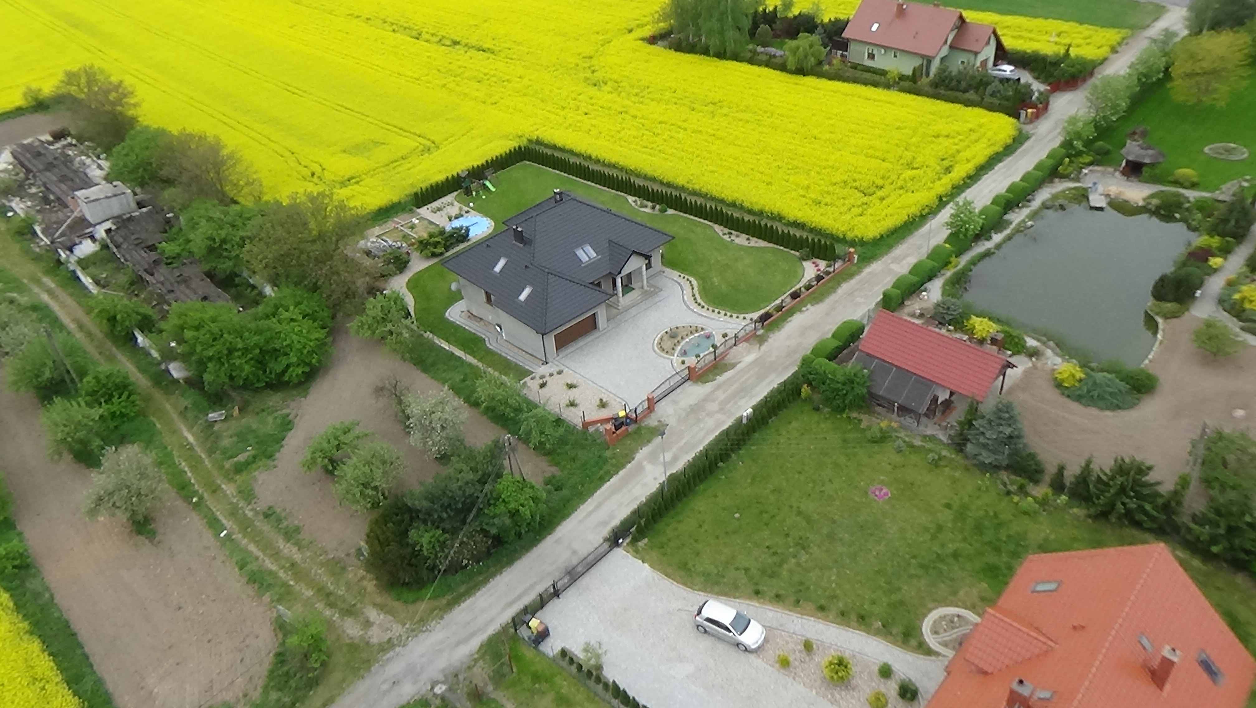Grzybiany z lotu ptaka. Zobacz jak wyglądają na wiosnę