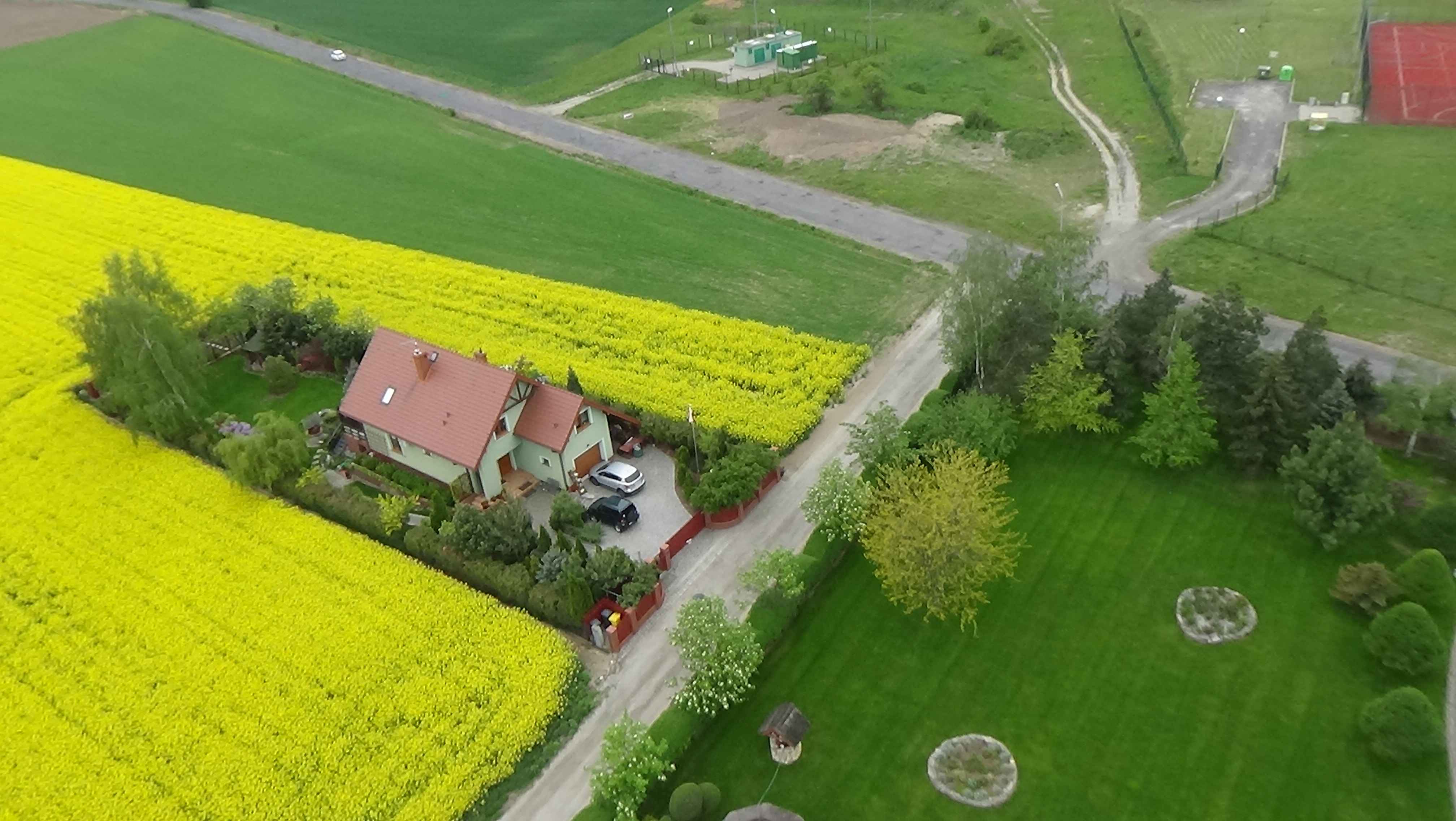 Grzybiany z lotu ptaka. Zobacz jak wyglądają na wiosnę