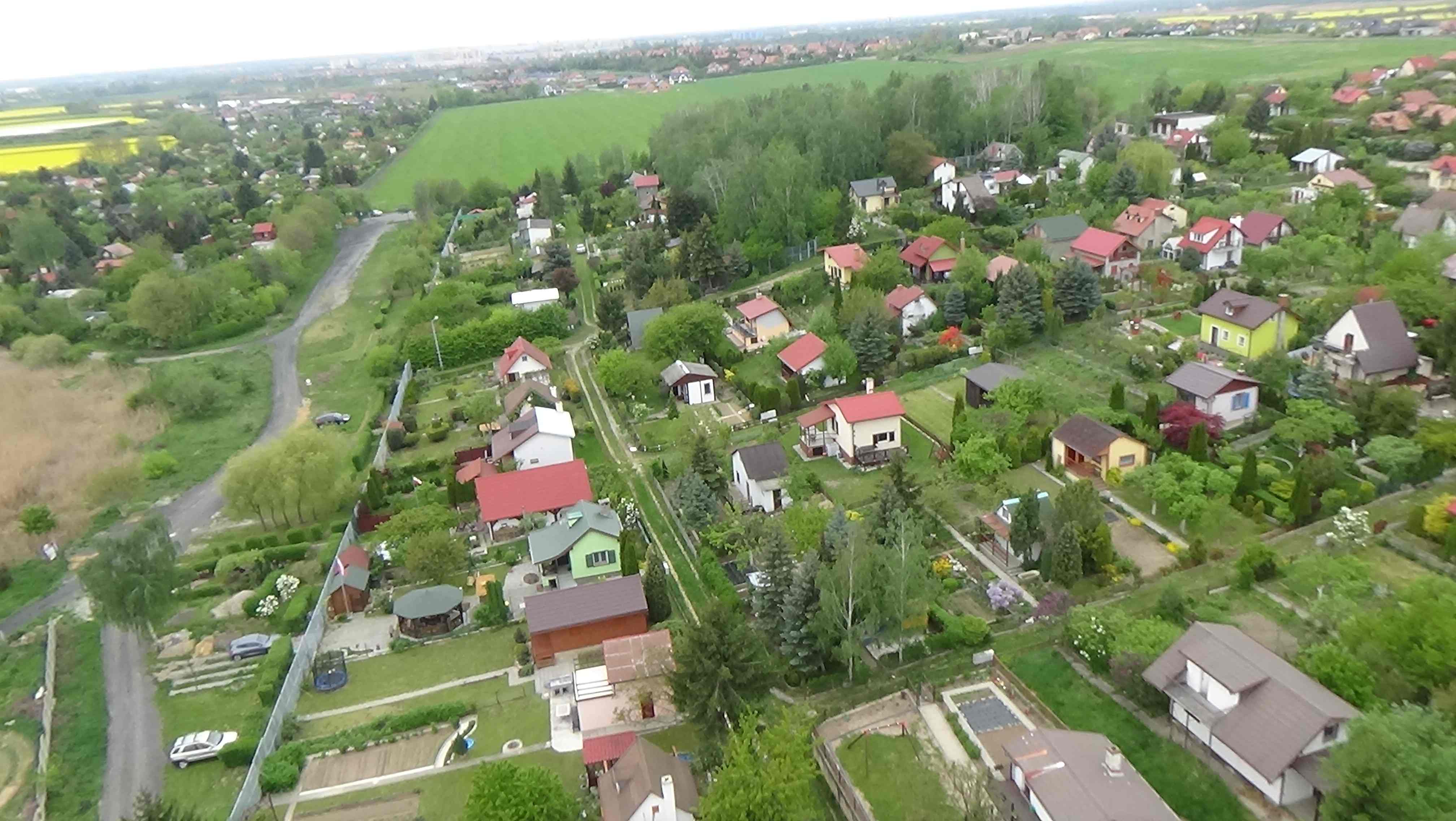 Grzybiany z lotu ptaka. Zobacz jak wyglądają na wiosnę