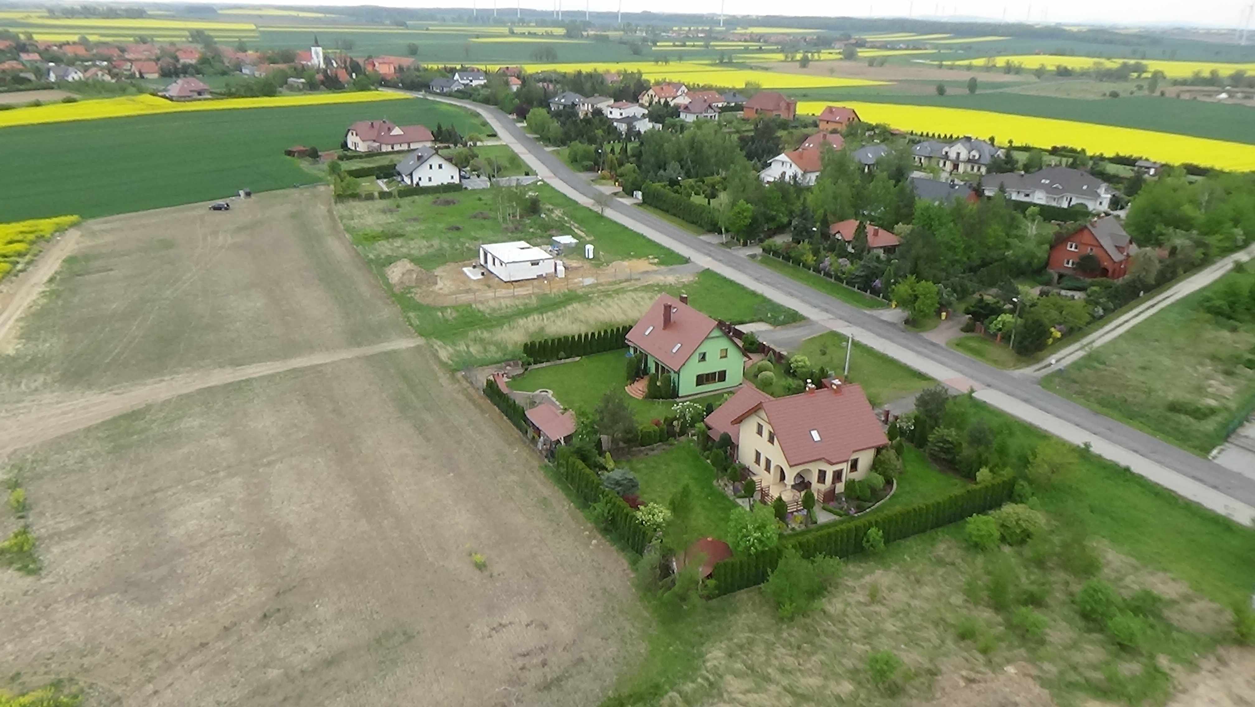 Grzybiany z lotu ptaka. Zobacz jak wyglądają na wiosnę