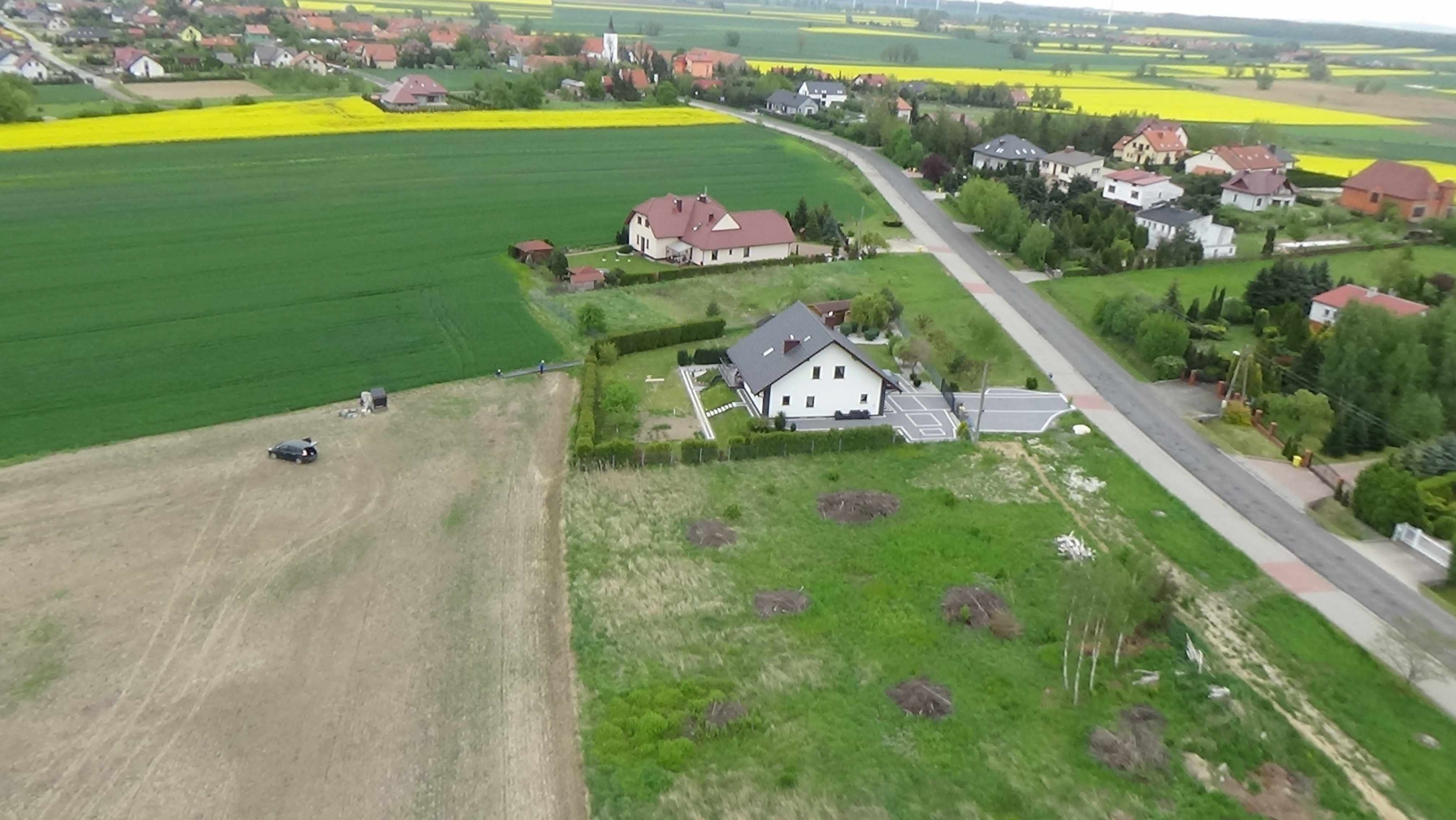 Grzybiany z lotu ptaka. Zobacz jak wyglądają na wiosnę