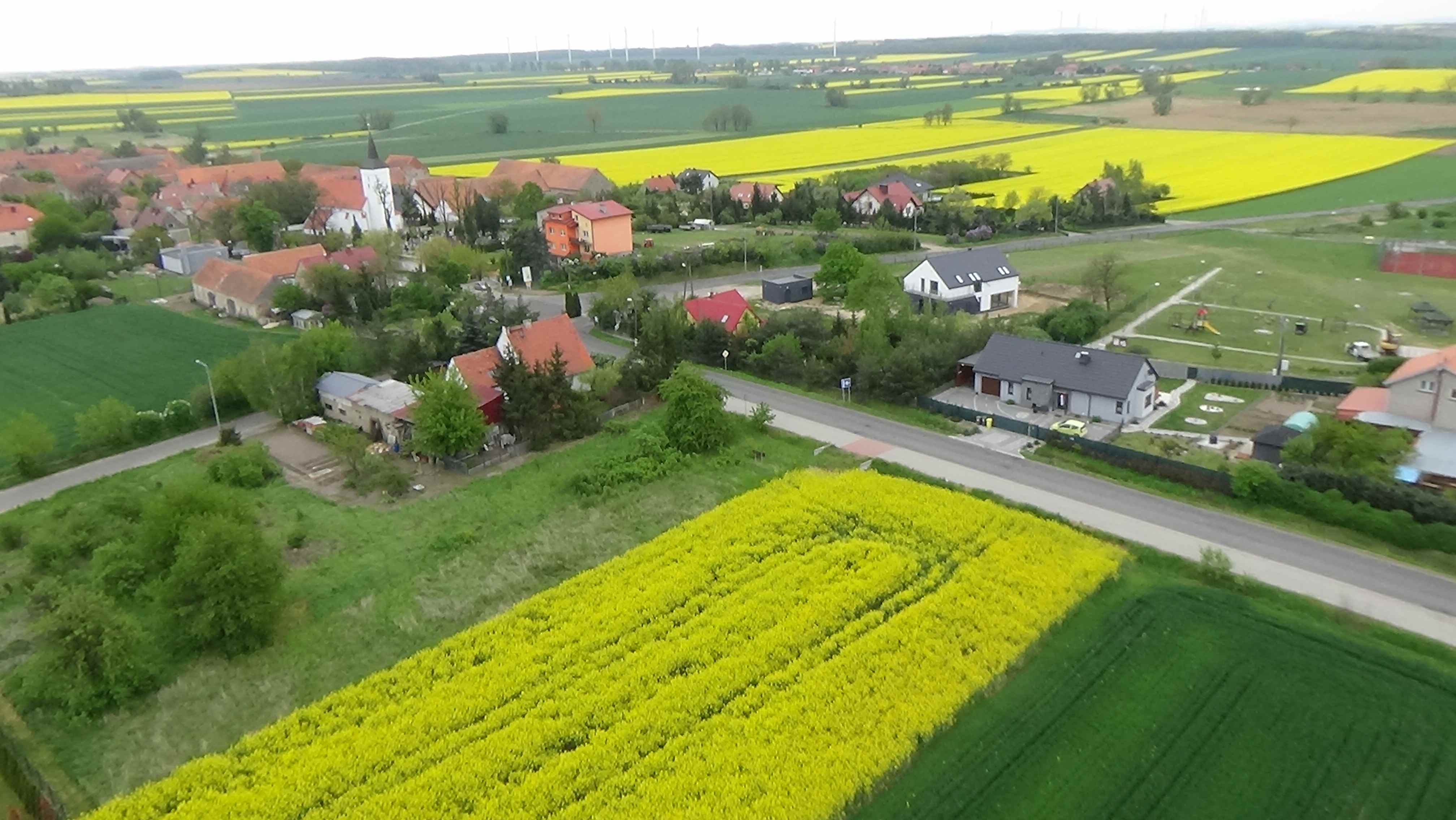 Grzybiany z lotu ptaka. Zobacz jak wyglądają na wiosnę
