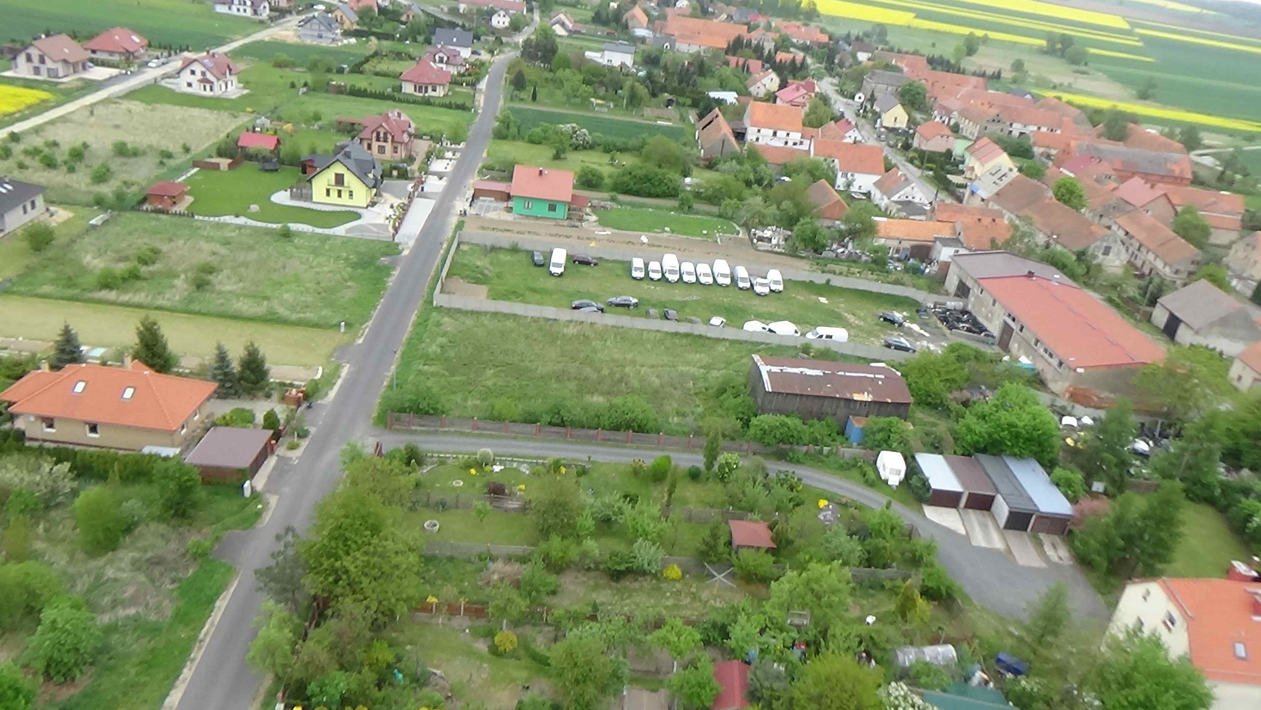 Grzybiany z lotu ptaka. Zobacz jak wyglądają na wiosnę