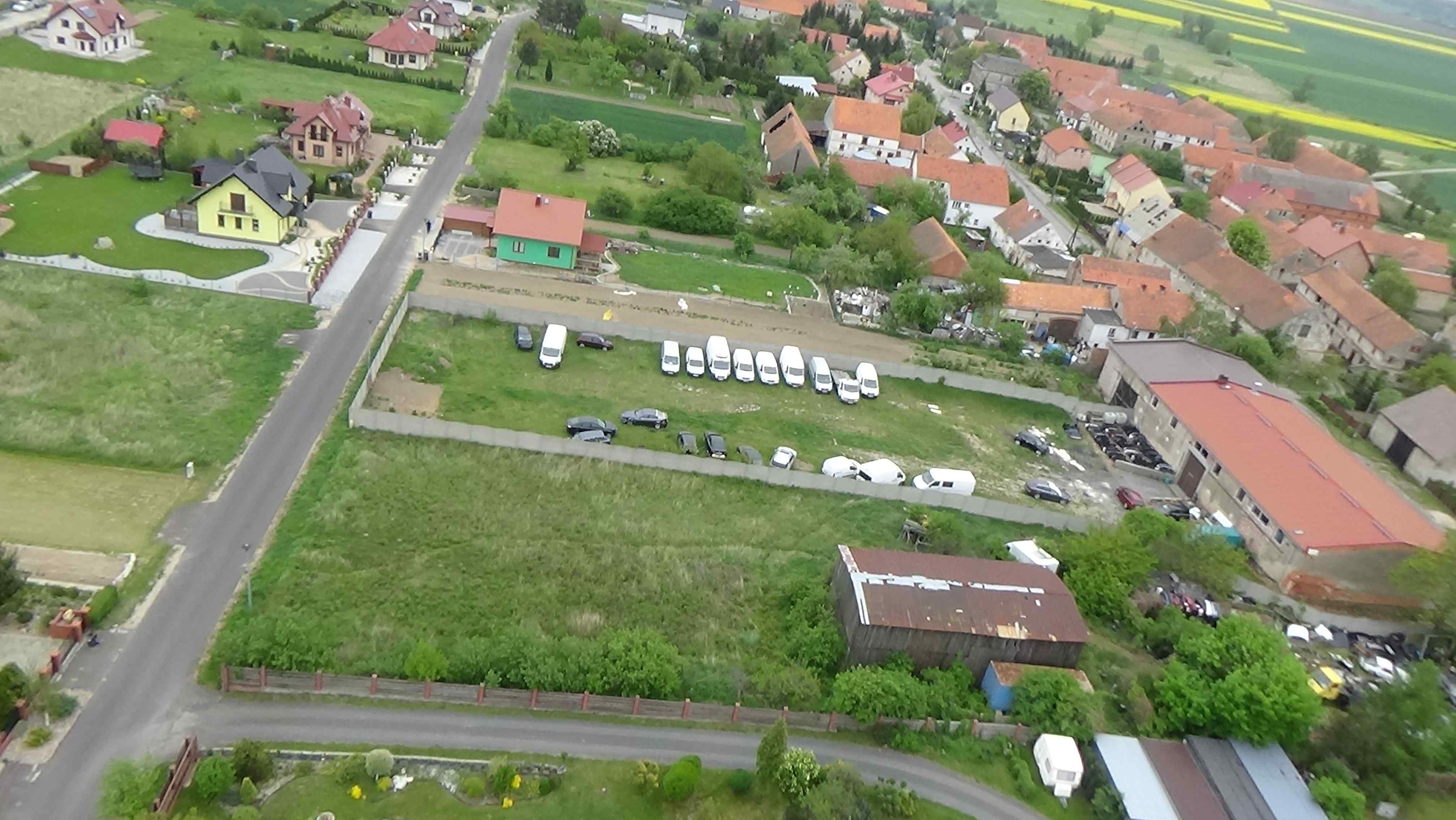 Grzybiany z lotu ptaka. Zobacz jak wyglądają na wiosnę