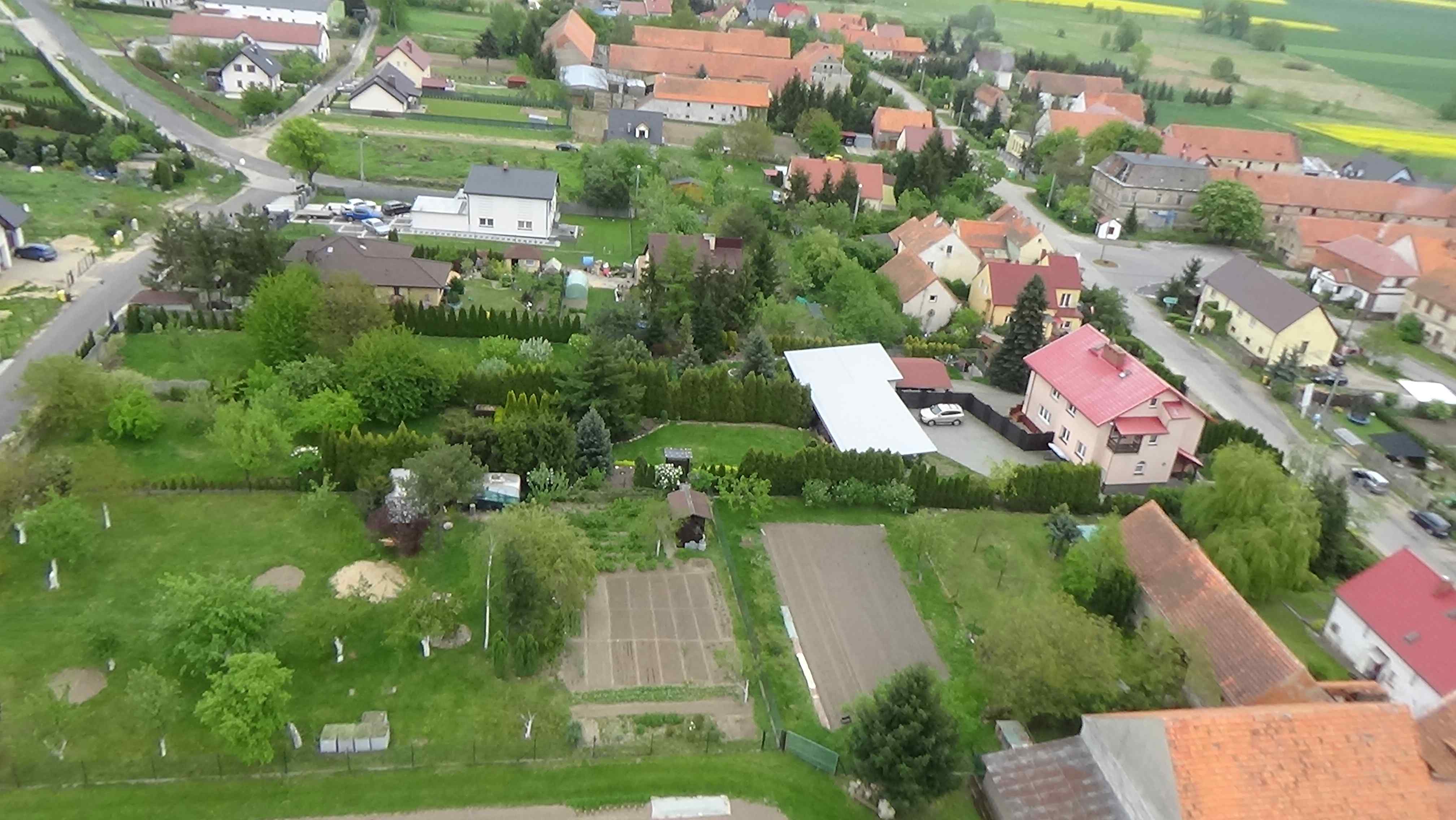 Grzybiany z lotu ptaka. Zobacz jak wyglądają na wiosnę