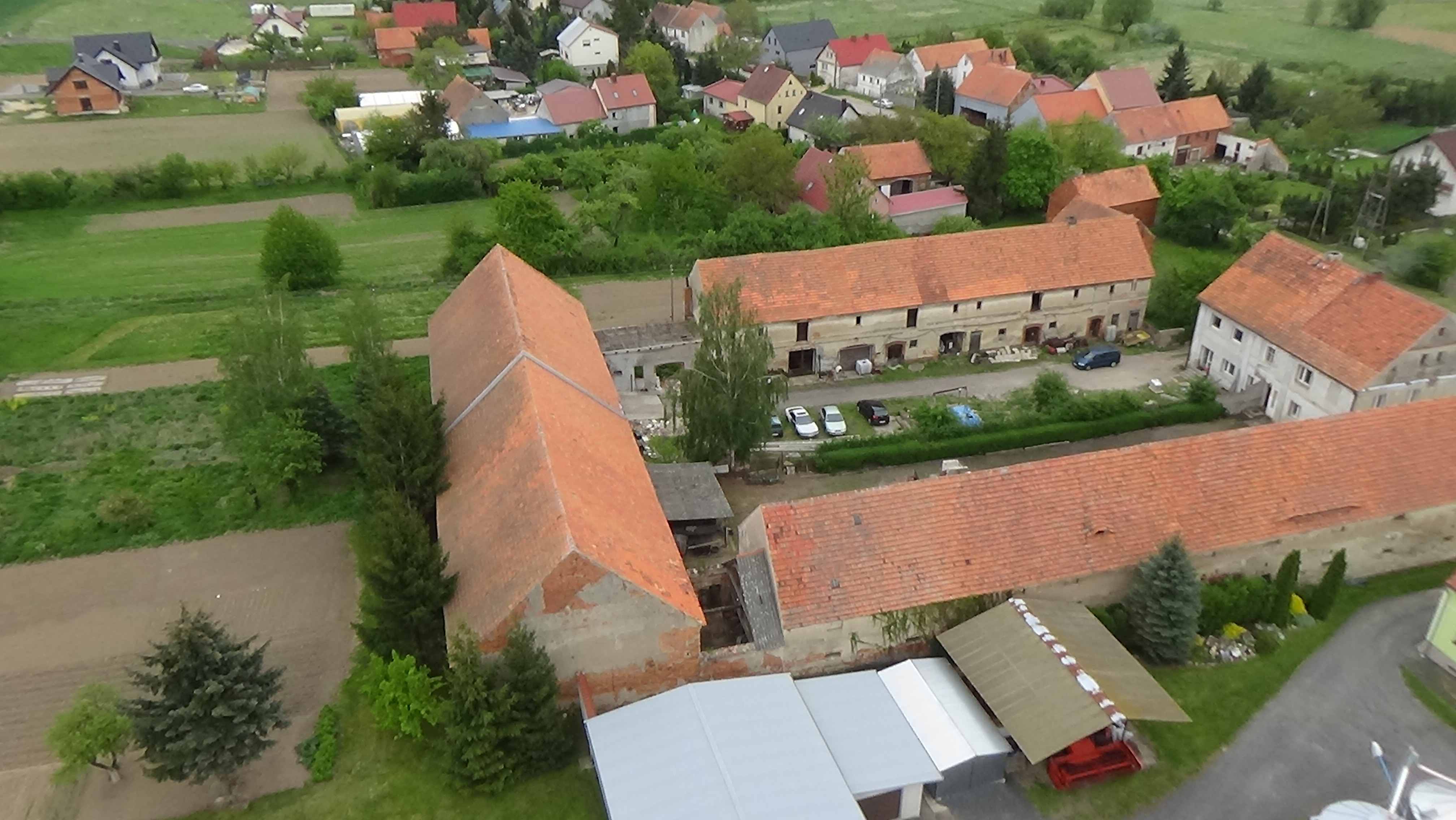 Grzybiany z lotu ptaka. Zobacz jak wyglądają na wiosnę