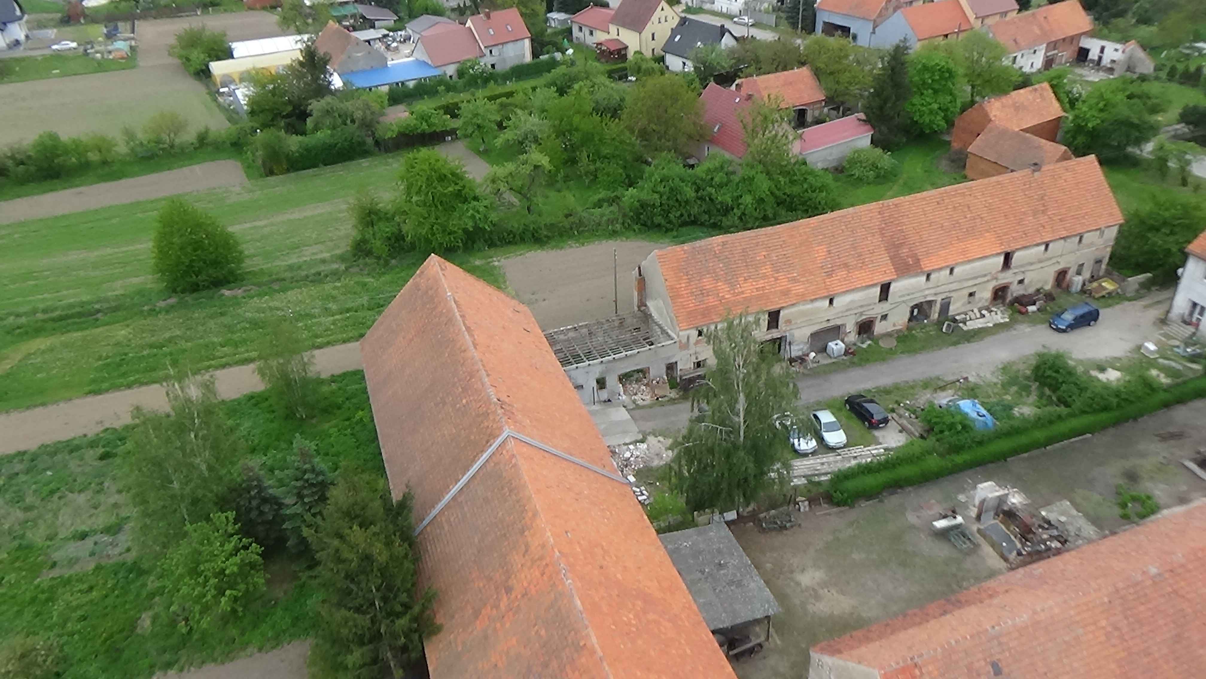 Grzybiany z lotu ptaka. Zobacz jak wyglądają na wiosnę