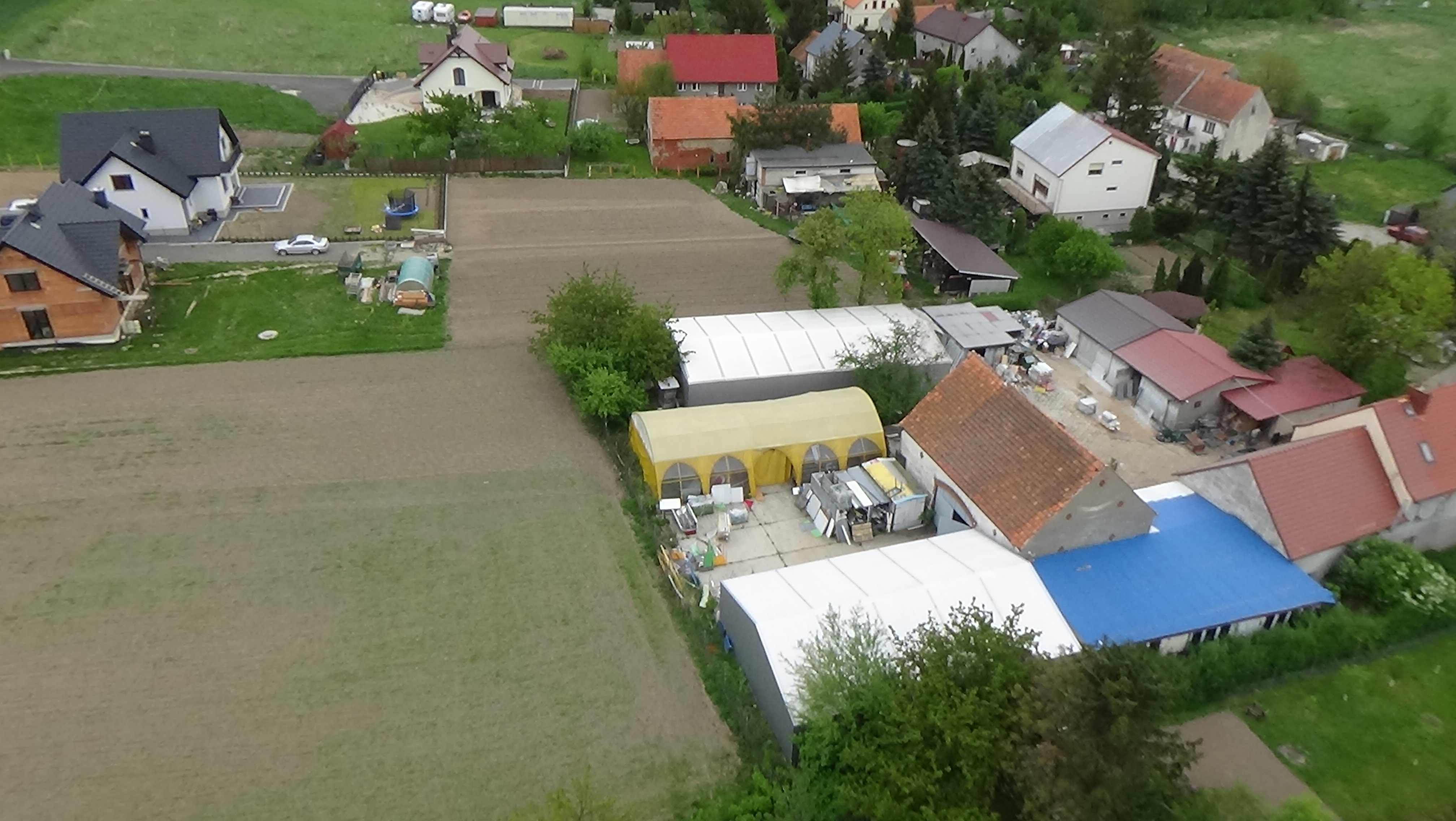 Grzybiany z lotu ptaka. Zobacz jak wyglądają na wiosnę
