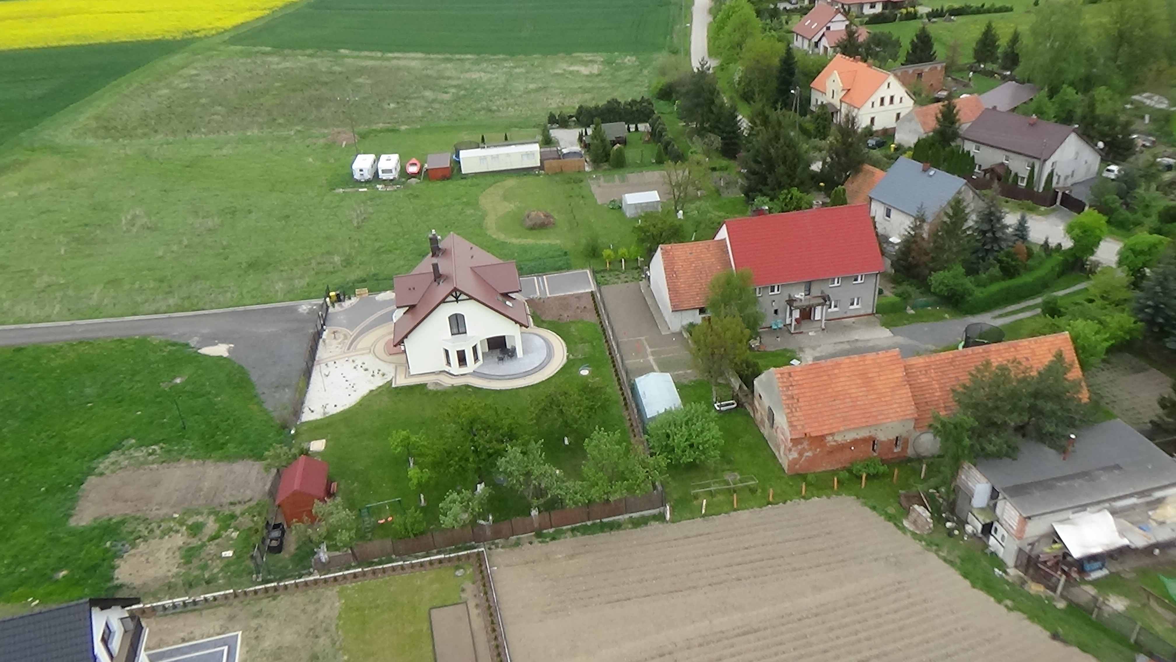 Grzybiany z lotu ptaka. Zobacz jak wyglądają na wiosnę