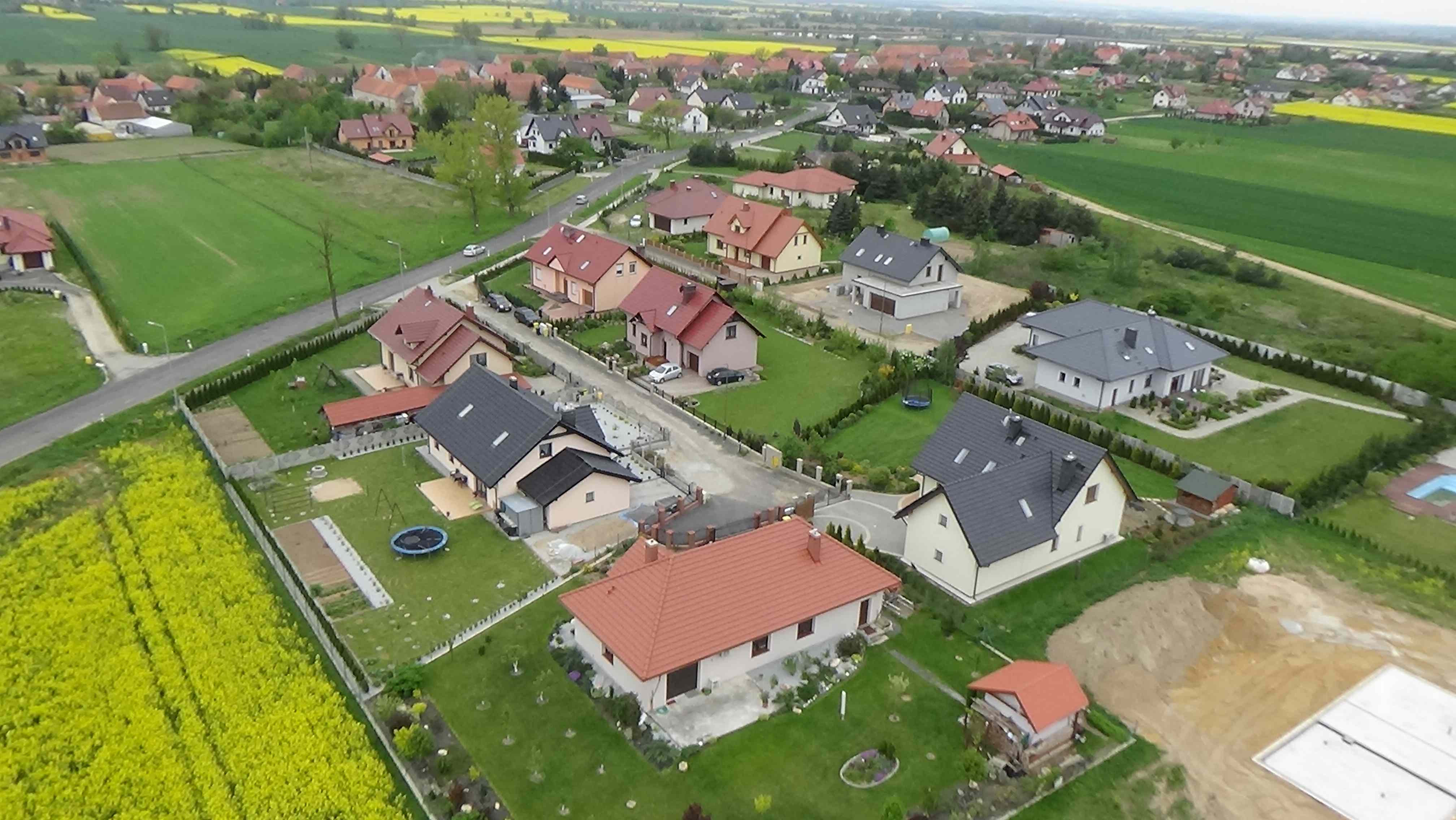 Grzybiany z lotu ptaka. Zobacz jak wyglądają na wiosnę