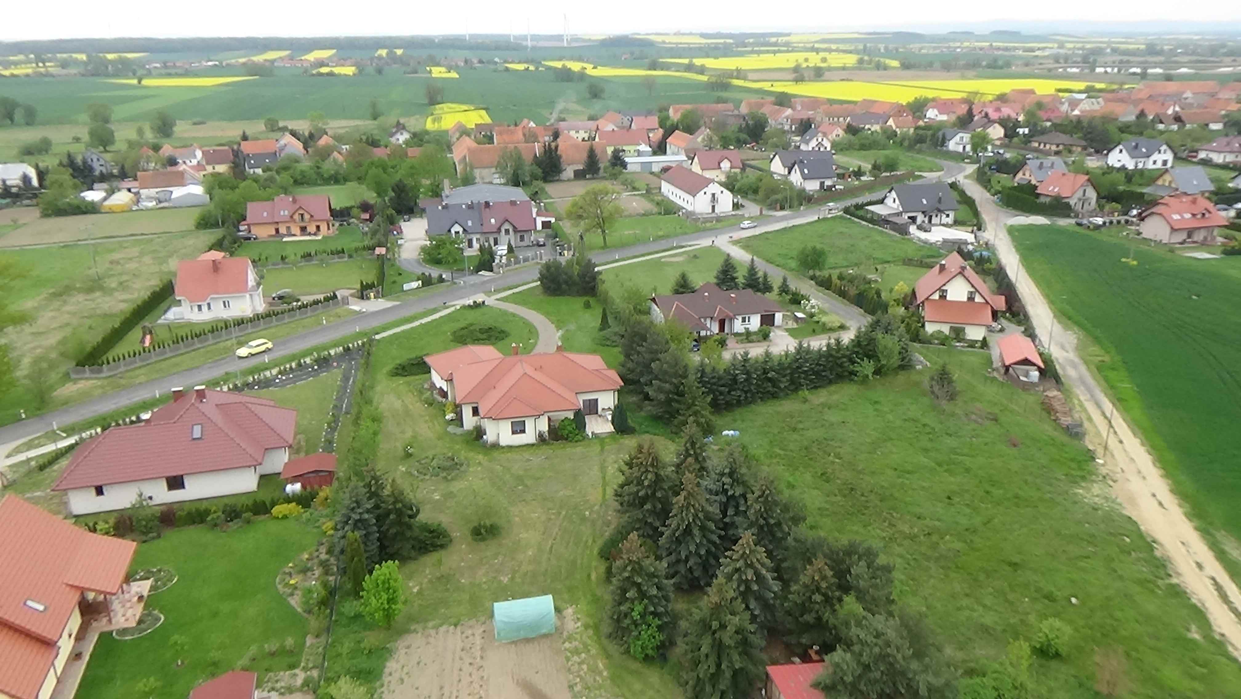 Grzybiany z lotu ptaka. Zobacz jak wyglądają na wiosnę
