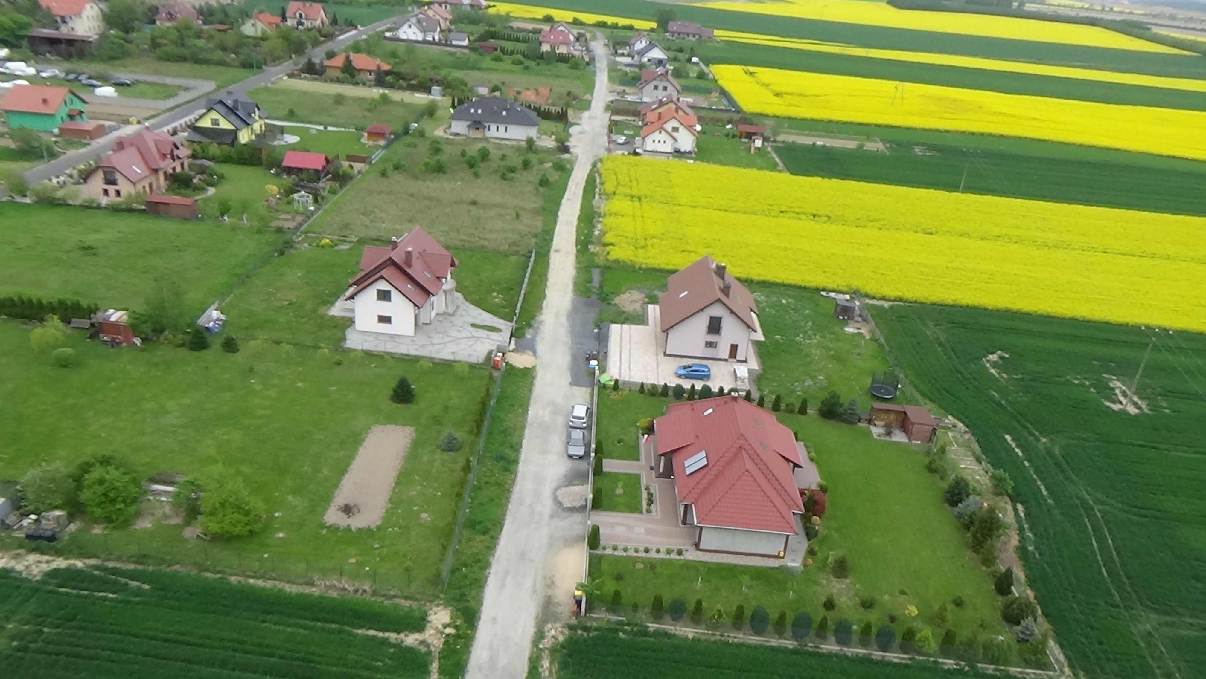 Grzybiany z lotu ptaka. Zobacz jak wyglądają na wiosnę