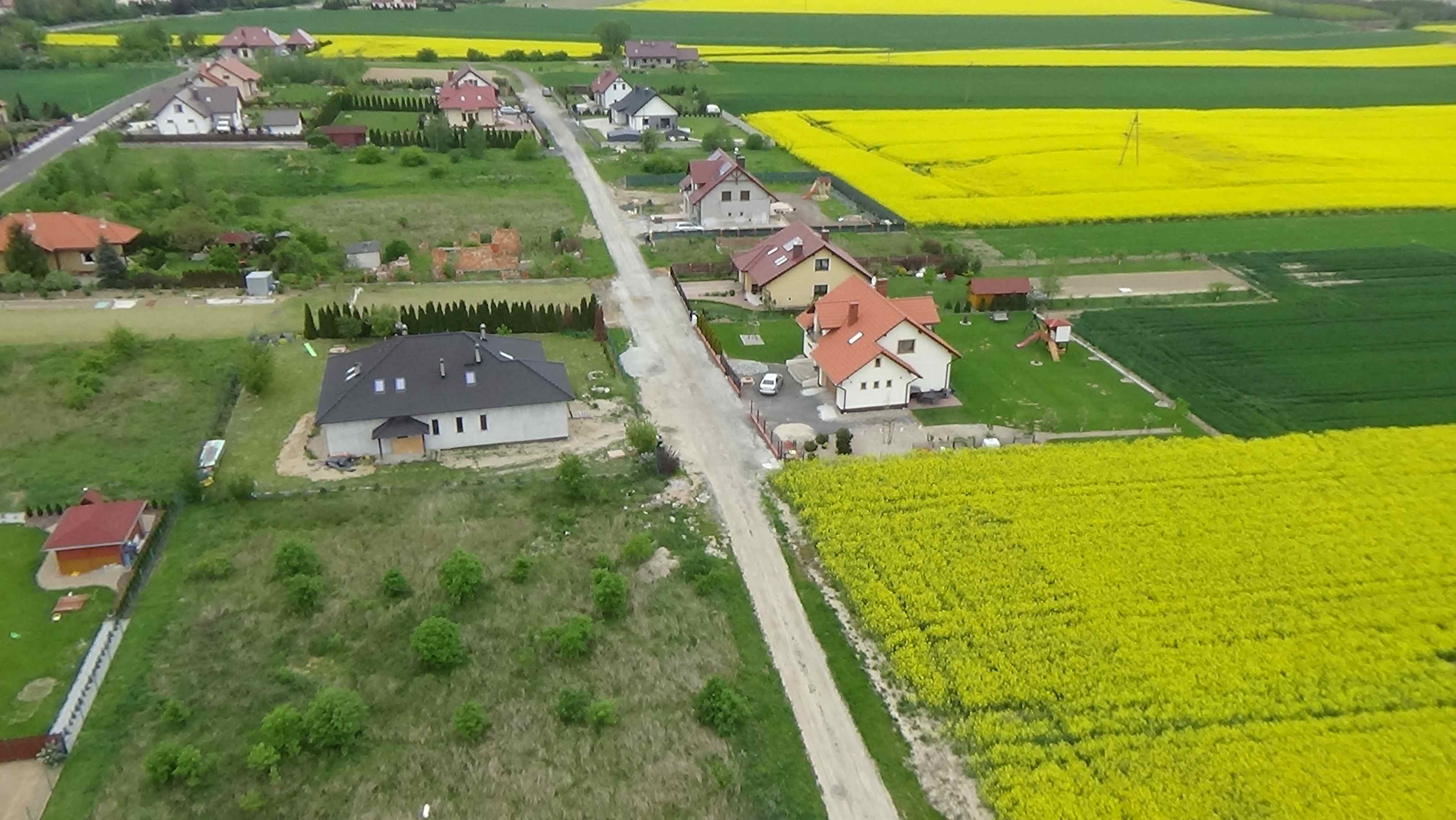Grzybiany z lotu ptaka. Zobacz jak wyglądają na wiosnę