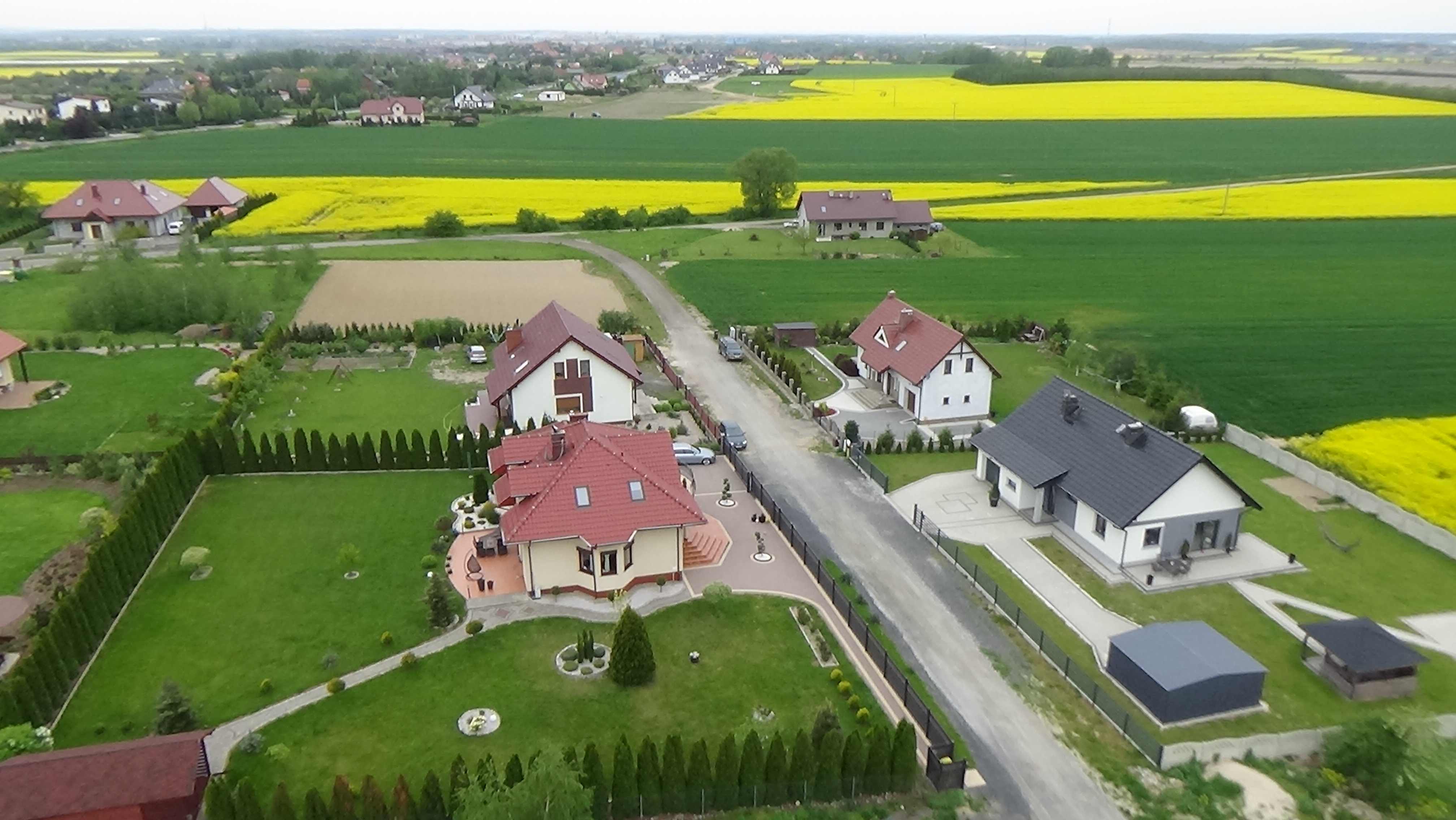 Grzybiany z lotu ptaka. Zobacz jak wyglądają na wiosnę