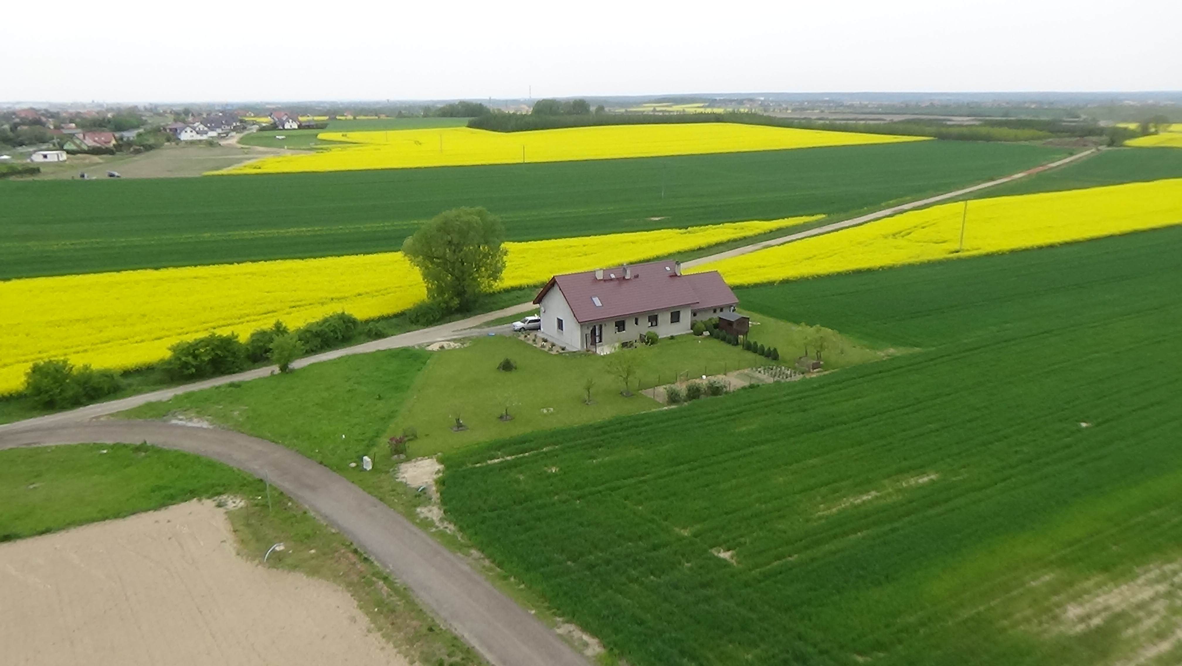 Grzybiany z lotu ptaka. Zobacz jak wyglądają na wiosnę