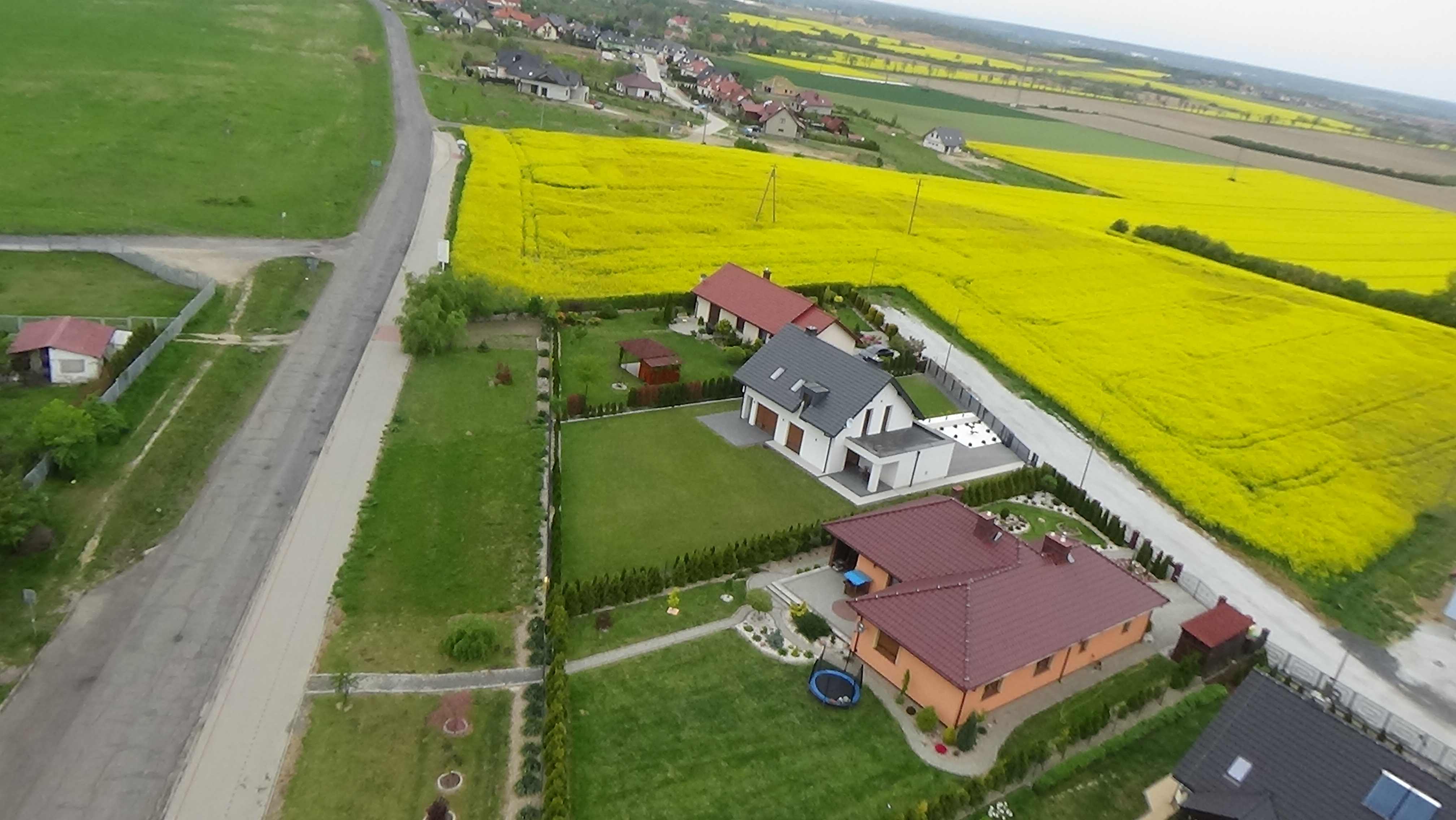 Grzybiany z lotu ptaka. Zobacz jak wyglądają na wiosnę