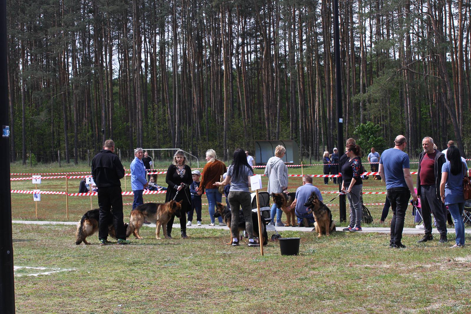 Około 40 psów zaprezentowało się na wystawie w Miłogostowicach