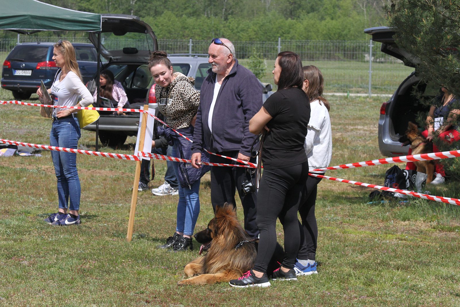 Około 40 psów zaprezentowało się na wystawie w Miłogostowicach