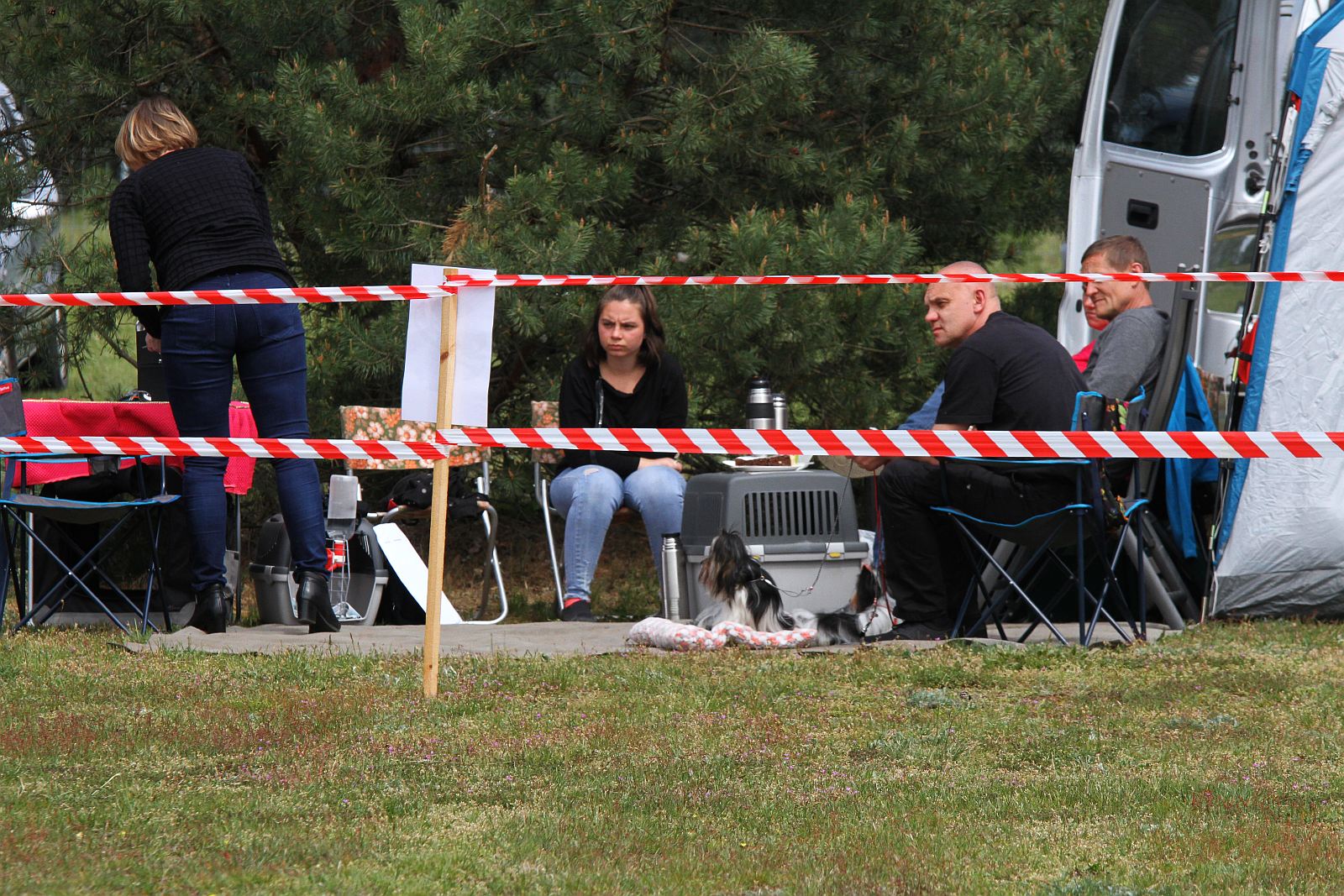 Około 40 psów zaprezentowało się na wystawie w Miłogostowicach