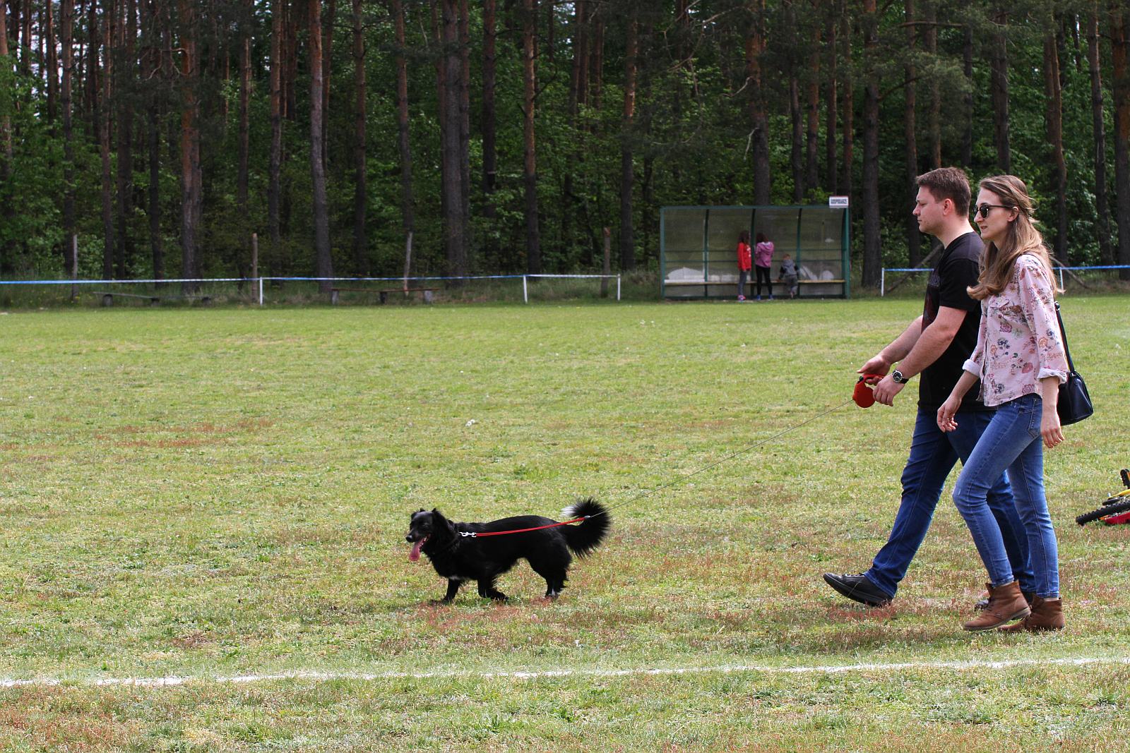 Około 40 psów zaprezentowało się na wystawie w Miłogostowicach