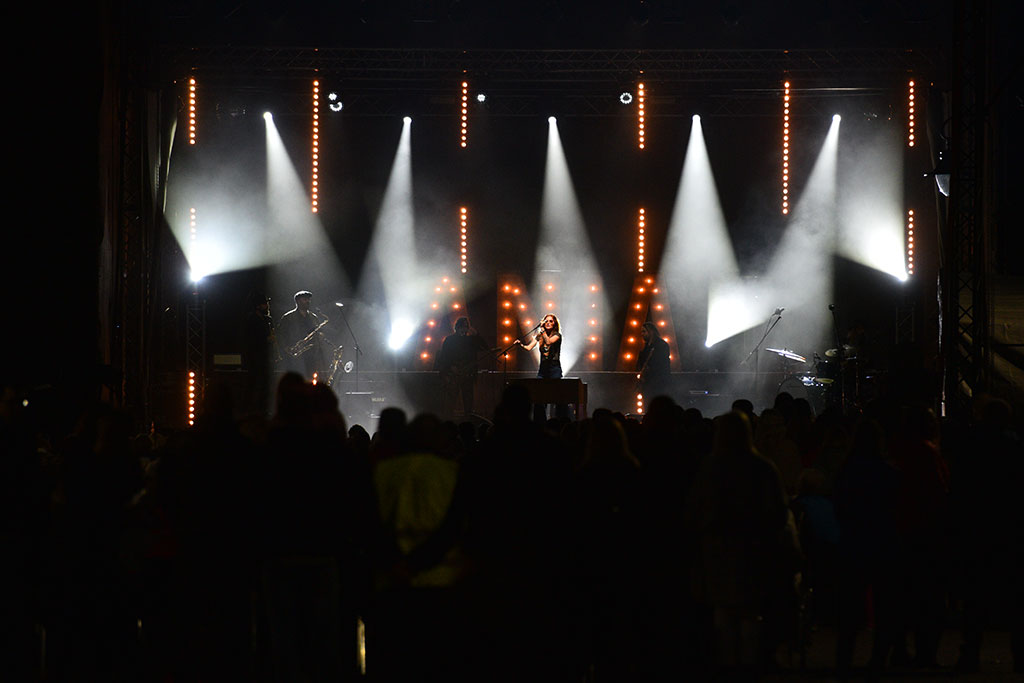 Anna, Ania, Mateusz. Koncert dla hutników i ich rodzin