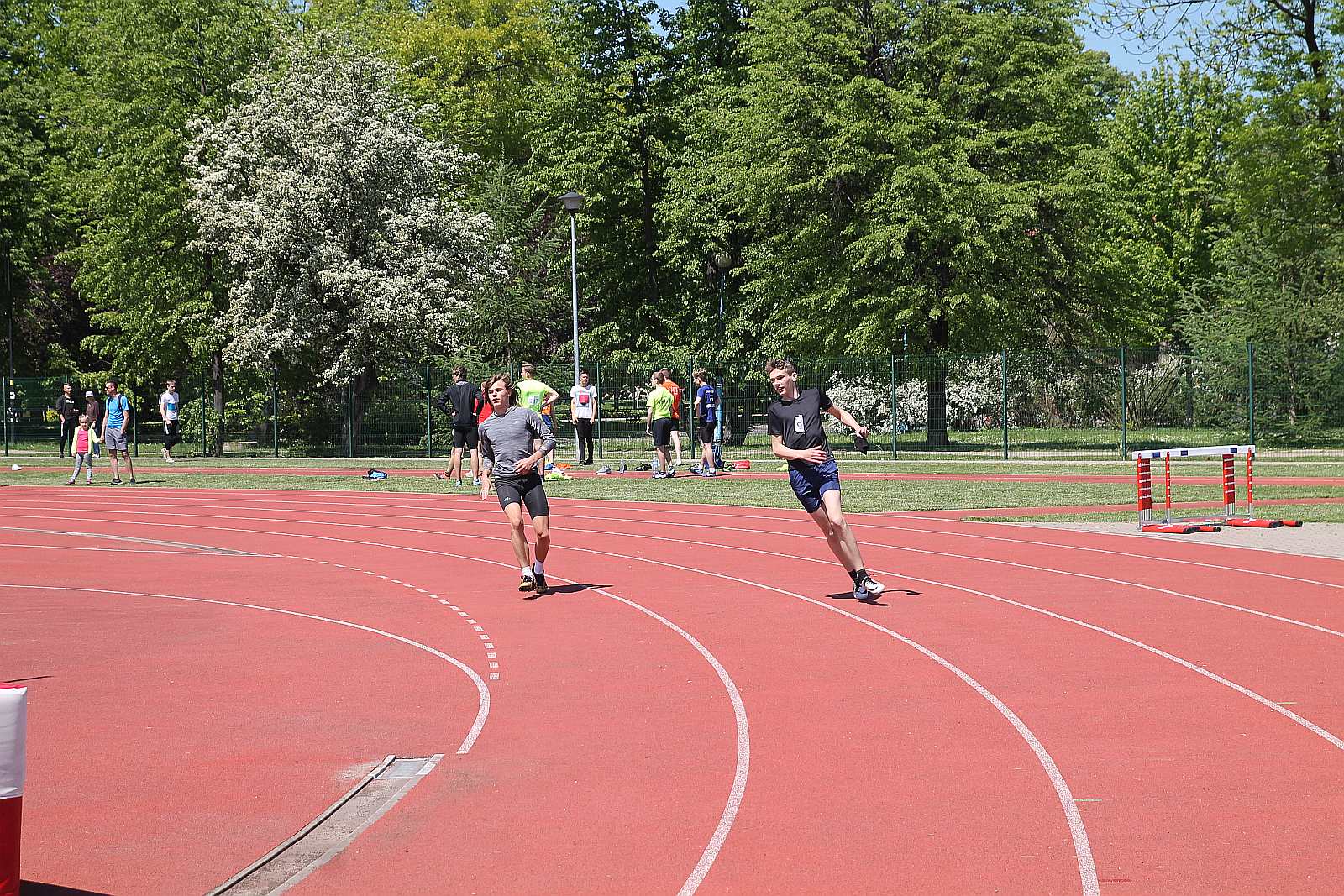 Mistrzostwa Dolnego Śląska Młodzików w lekkoatletyce