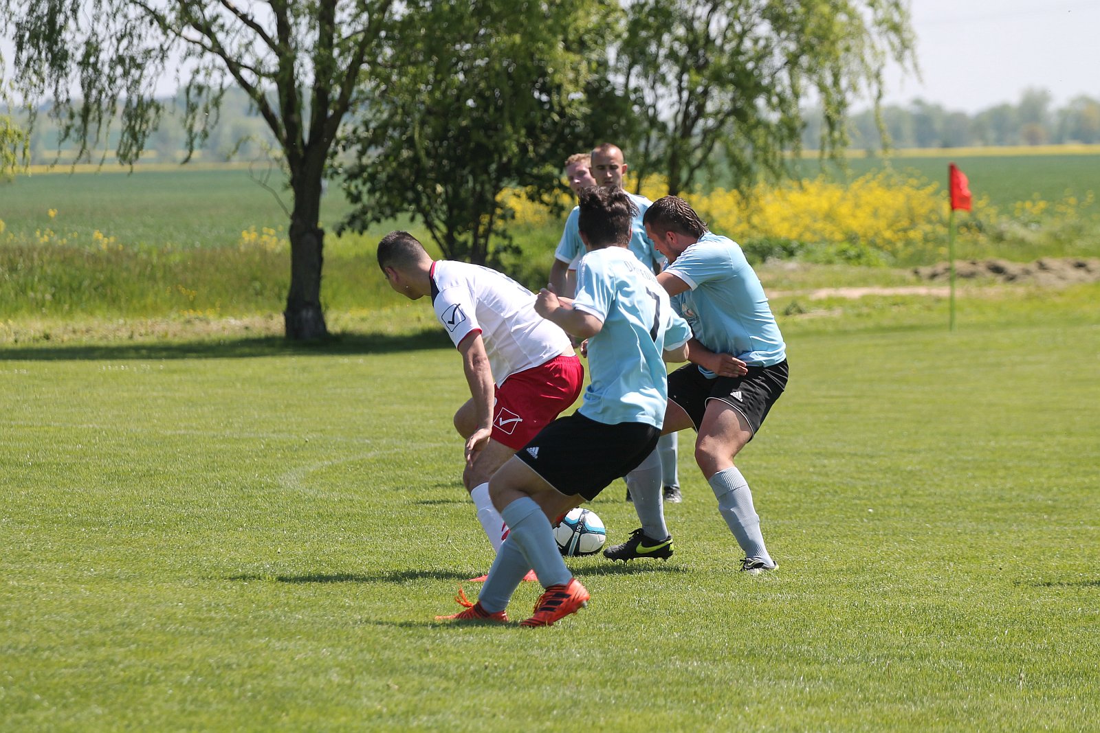 Klasa A: Albatros Jaśkowice Legnickie - Dąb Siedliska 0:2
