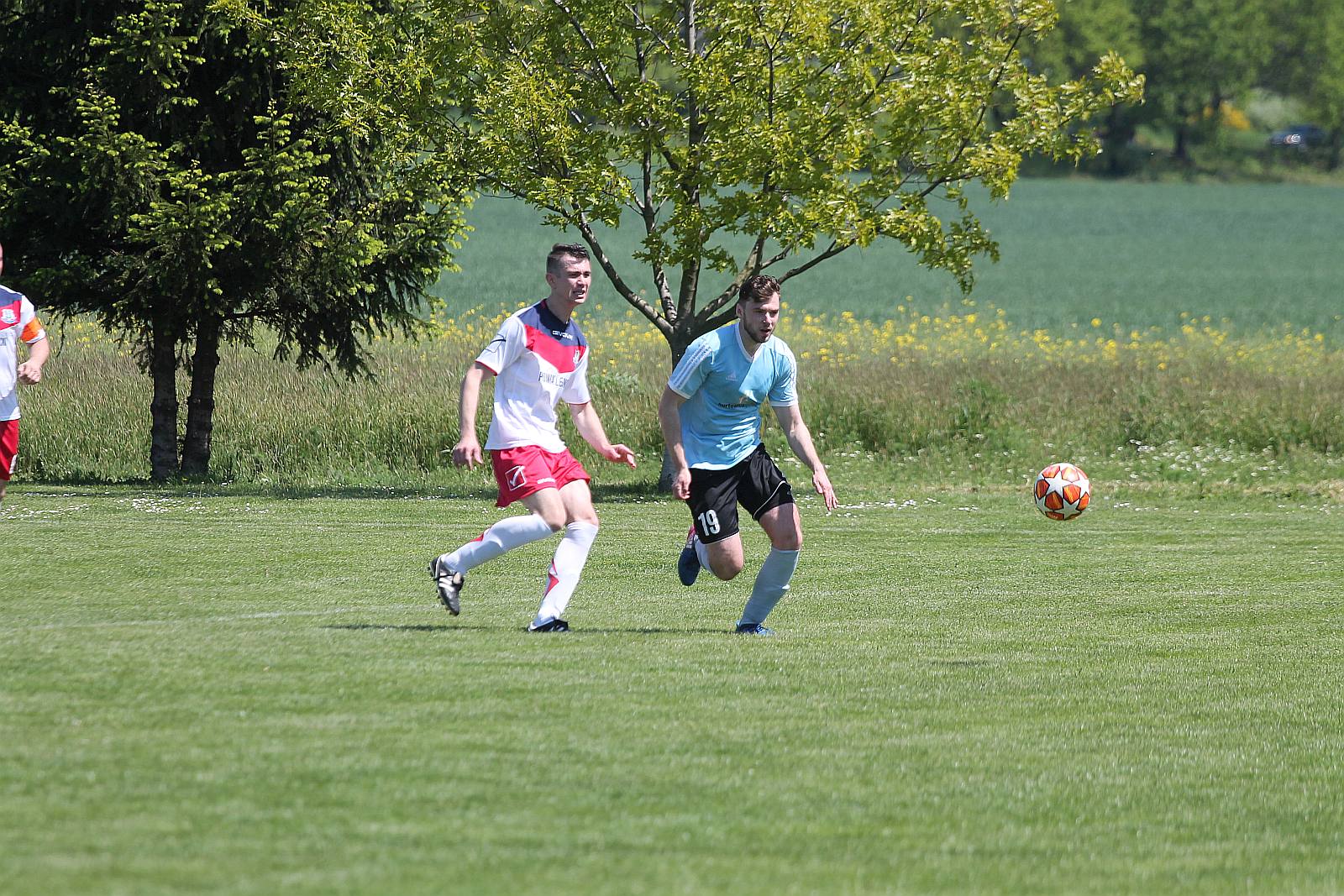 Klasa A: Albatros Jaśkowice Legnickie - Dąb Siedliska 0:2